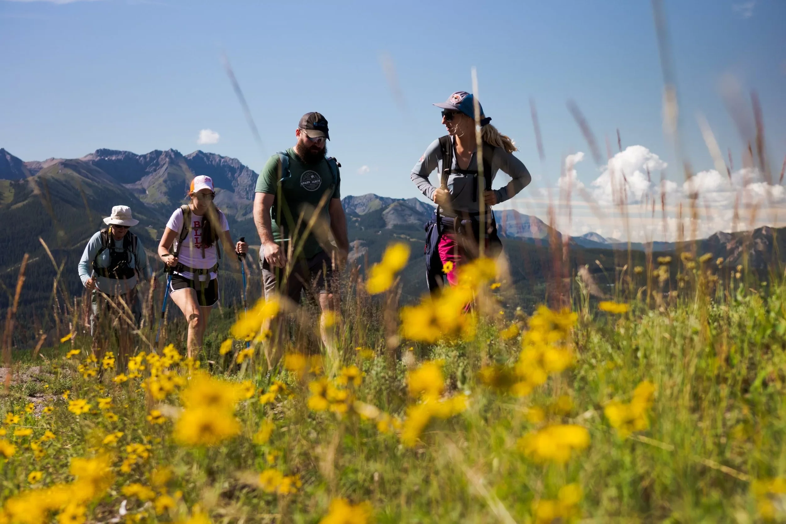 A group of four hikers walking through a field of yellow wildflowers with mountains in the background on a clear, sunny day.