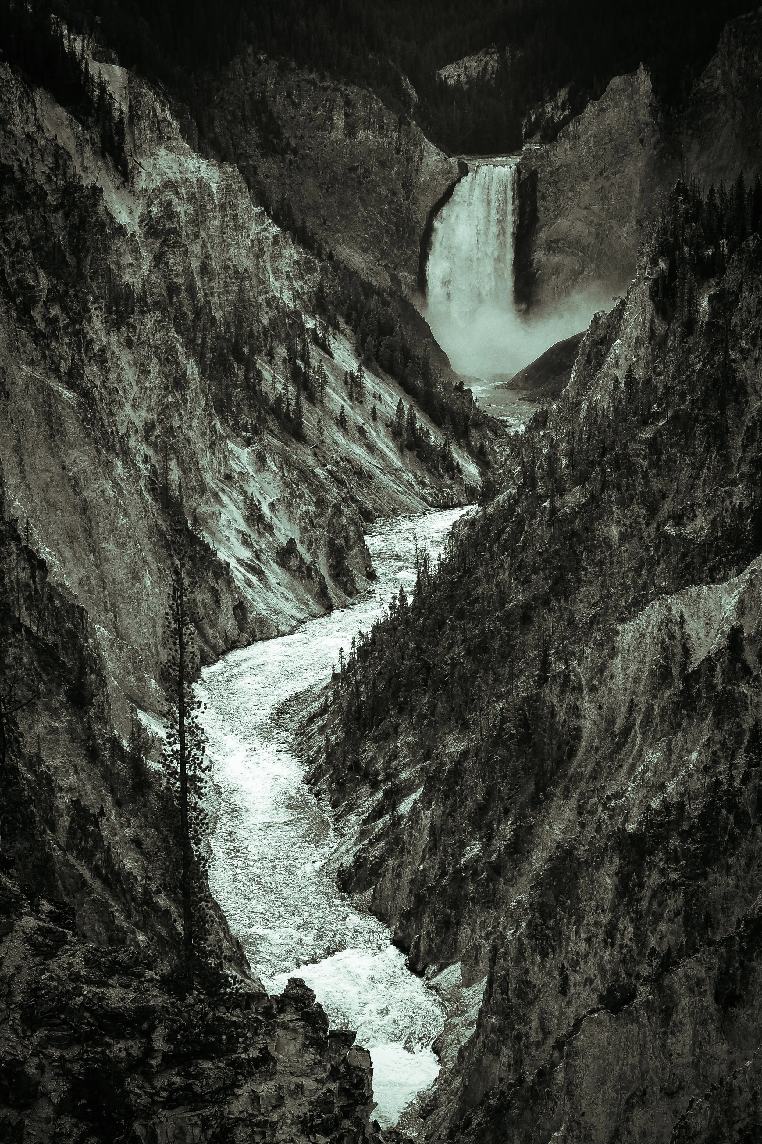big sur 2-24.jpg