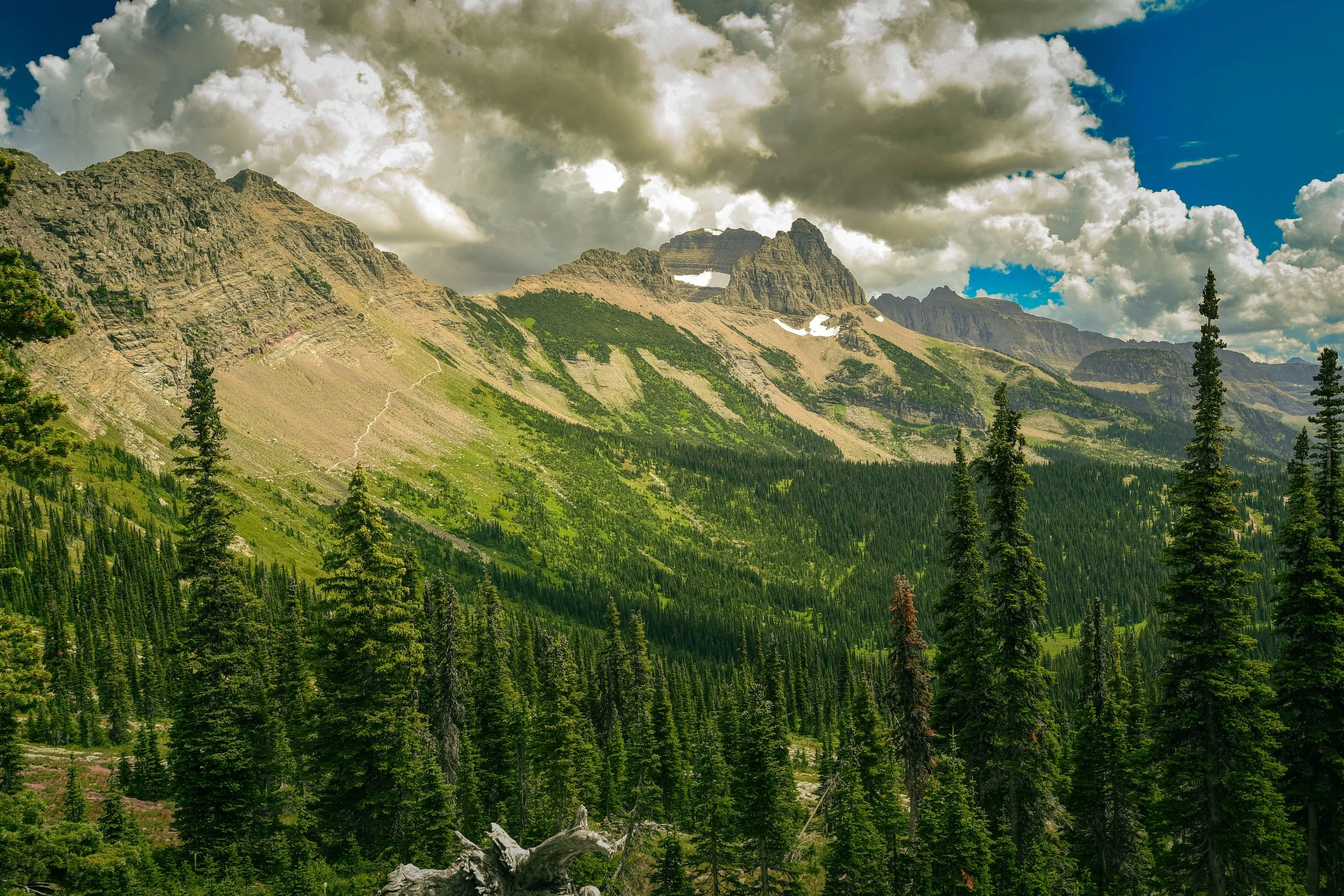 glacier tip-8.jpg