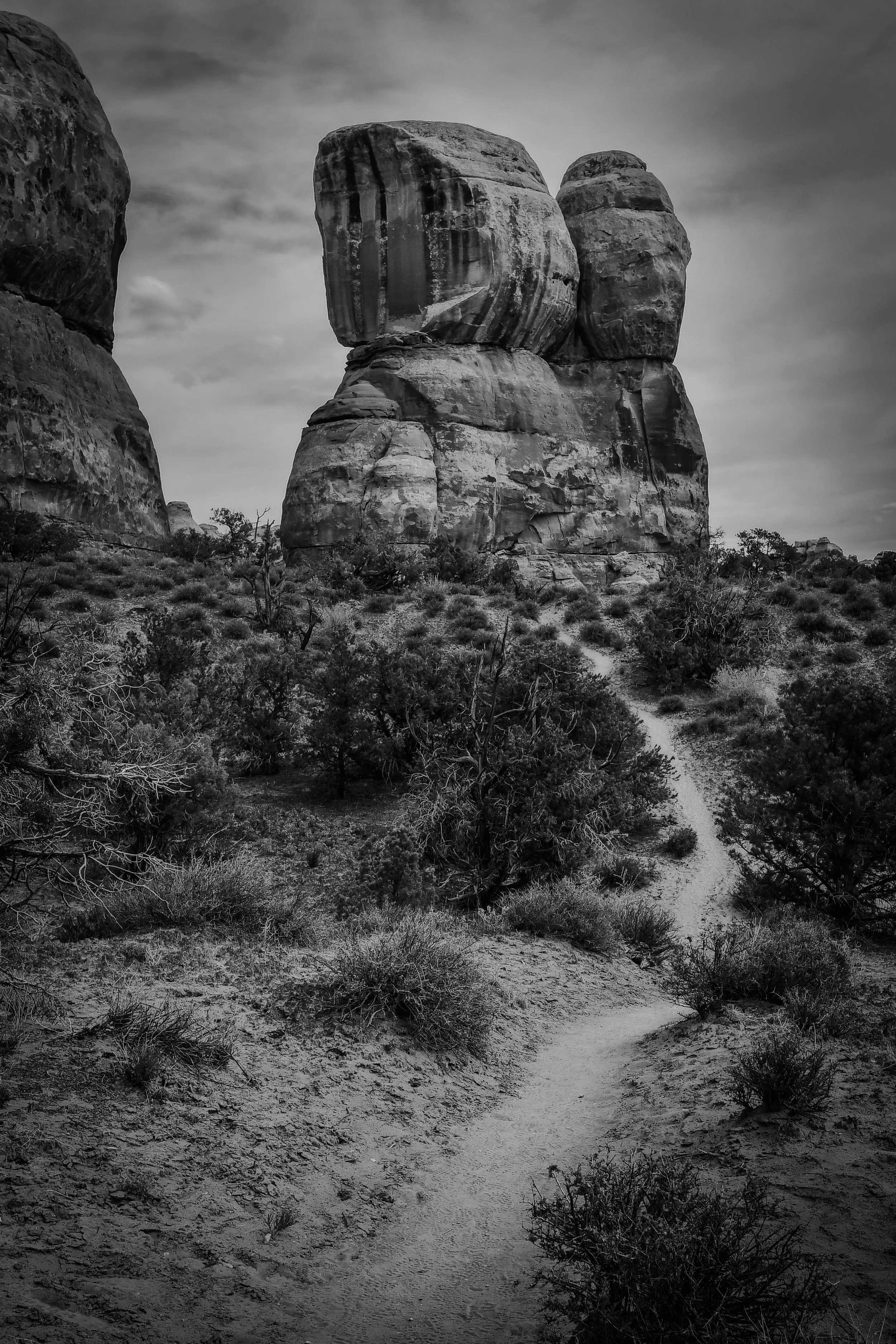 Chrysler park trail 1.jpg
