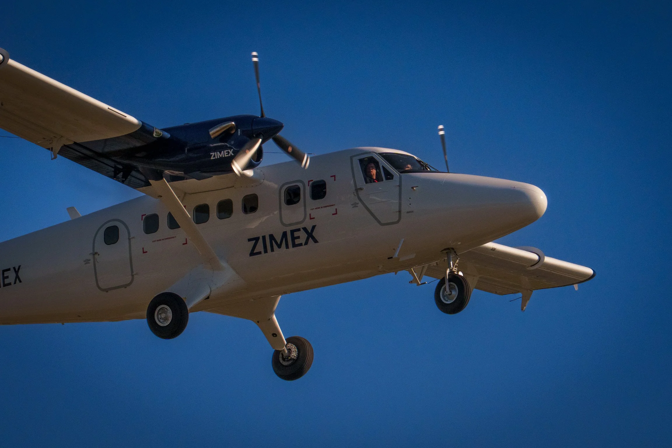 Launch of our new website.