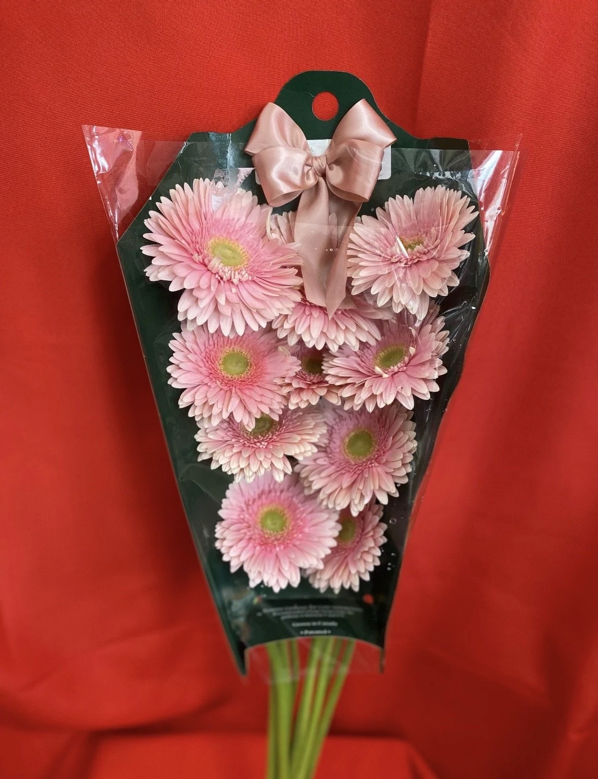 Gerberas