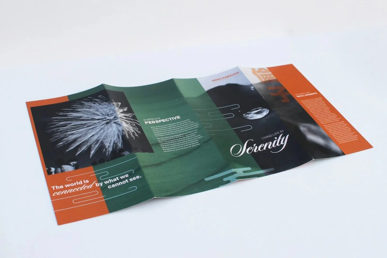 Living Life in Serenity: Rinko Kawauchi