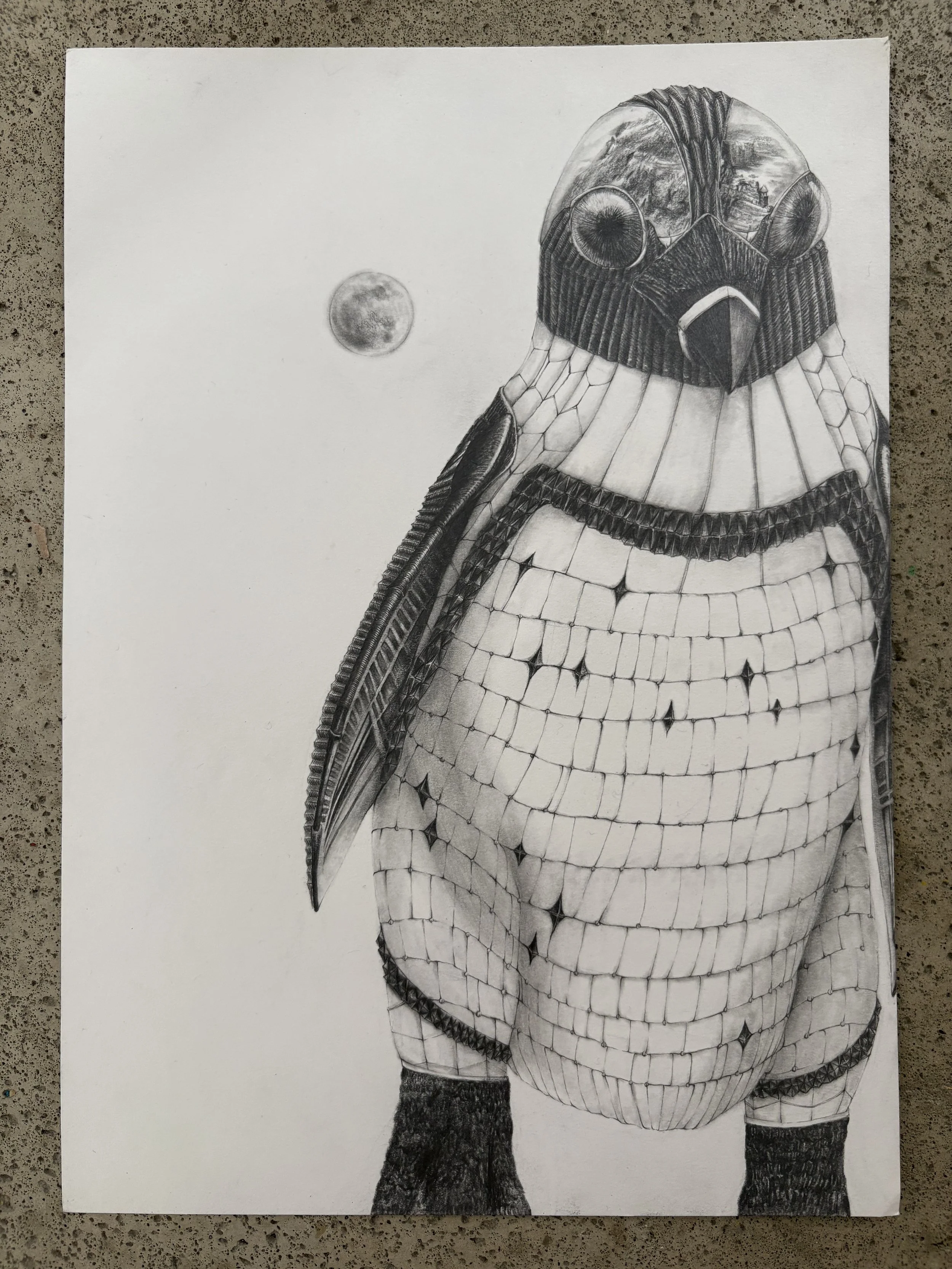 The Town Within

The Bird Series: South African Penguin

Graphite on paper  | 210mm X 297mm
2026