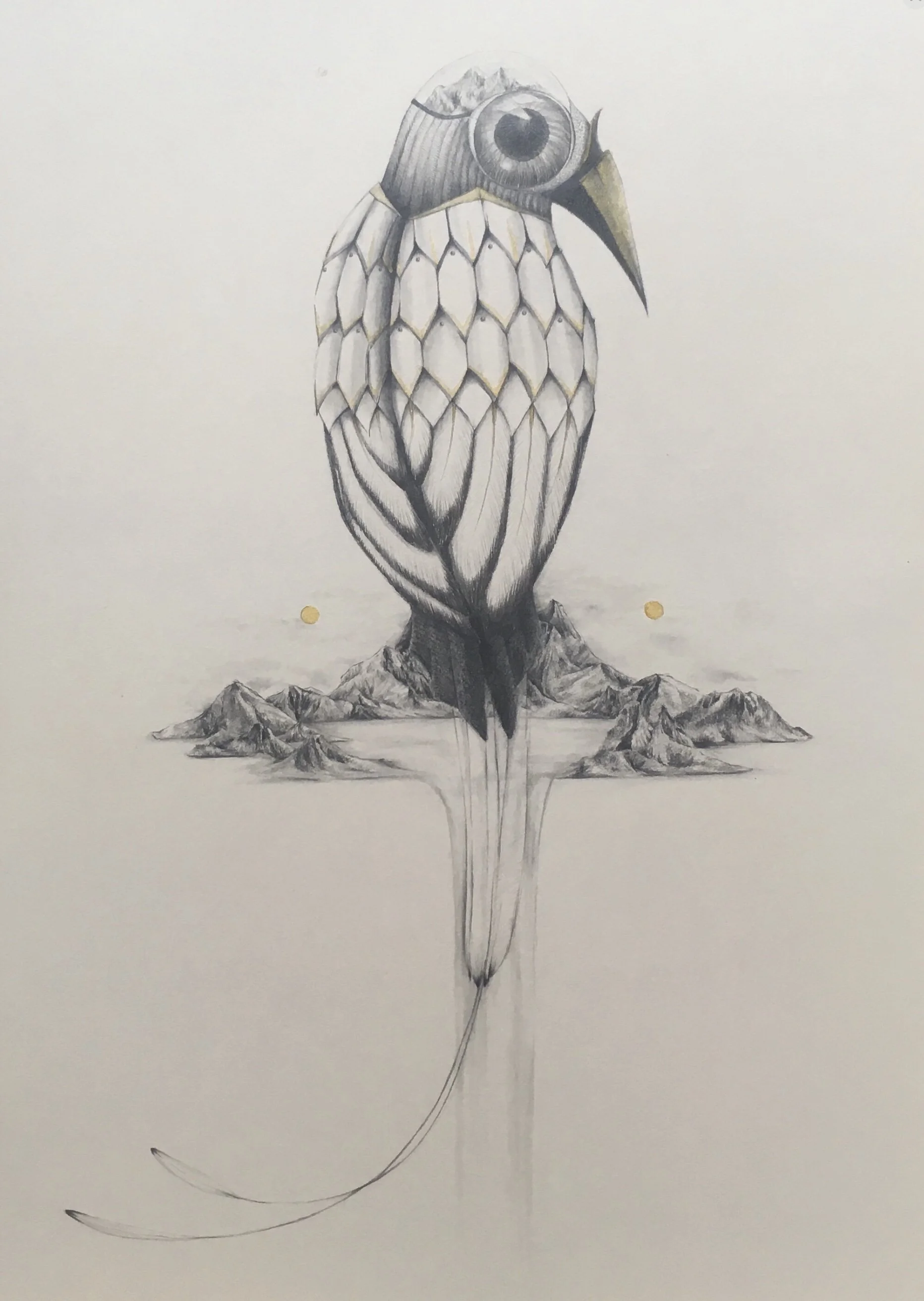 The Bird with two Moons

Mixed media on Paper | 297mm X 420mm

2018 | Sold
