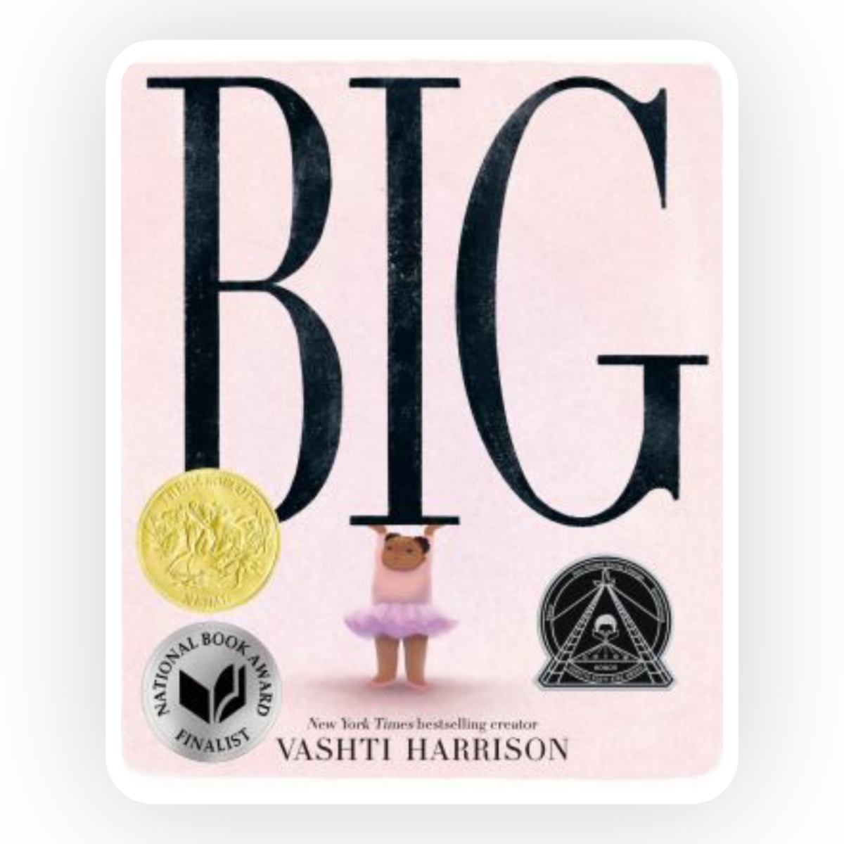 Big by Vashti Harrison is a beautifully illustrated story about accepting who we are and the beauty in all.
