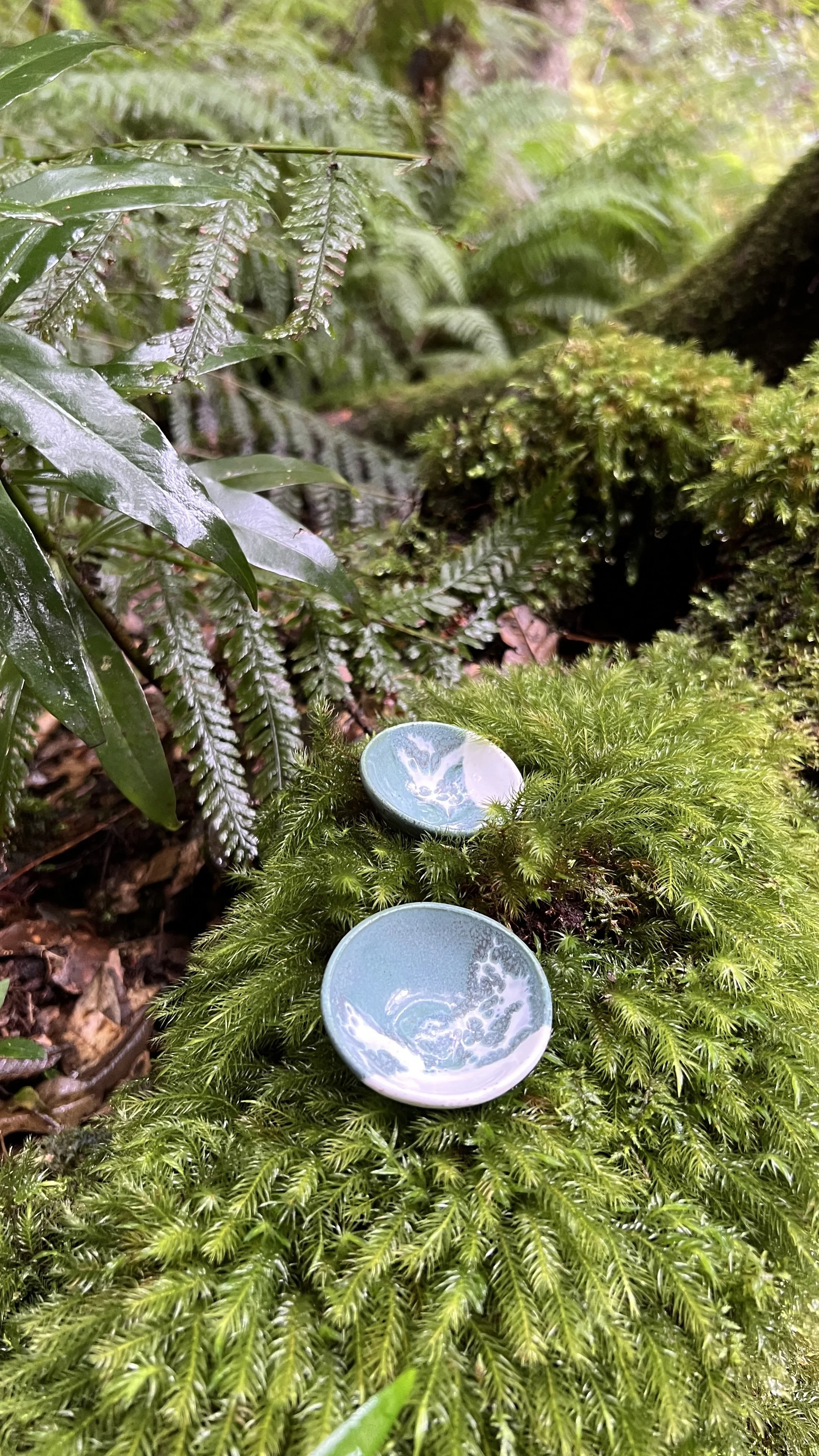 Petite Ceramic Trinket Dish - Alpine Glaze