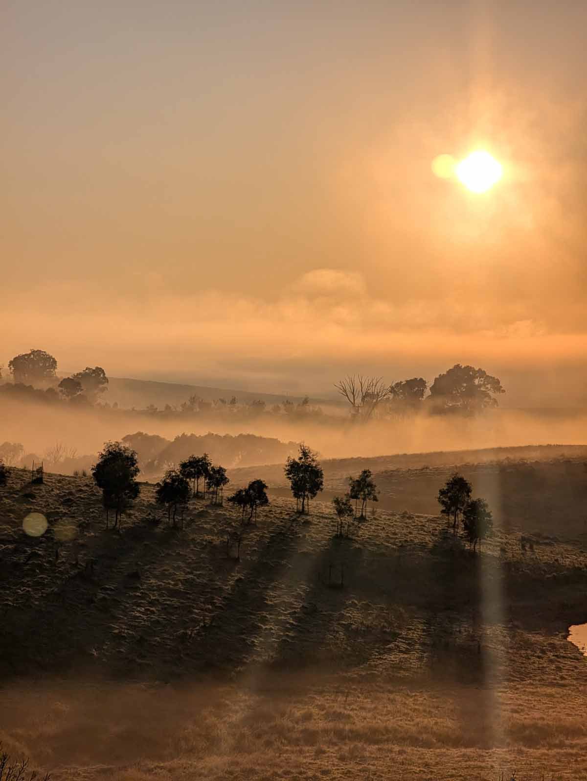 September 2026 Reading Retreat – Canberra, ACT