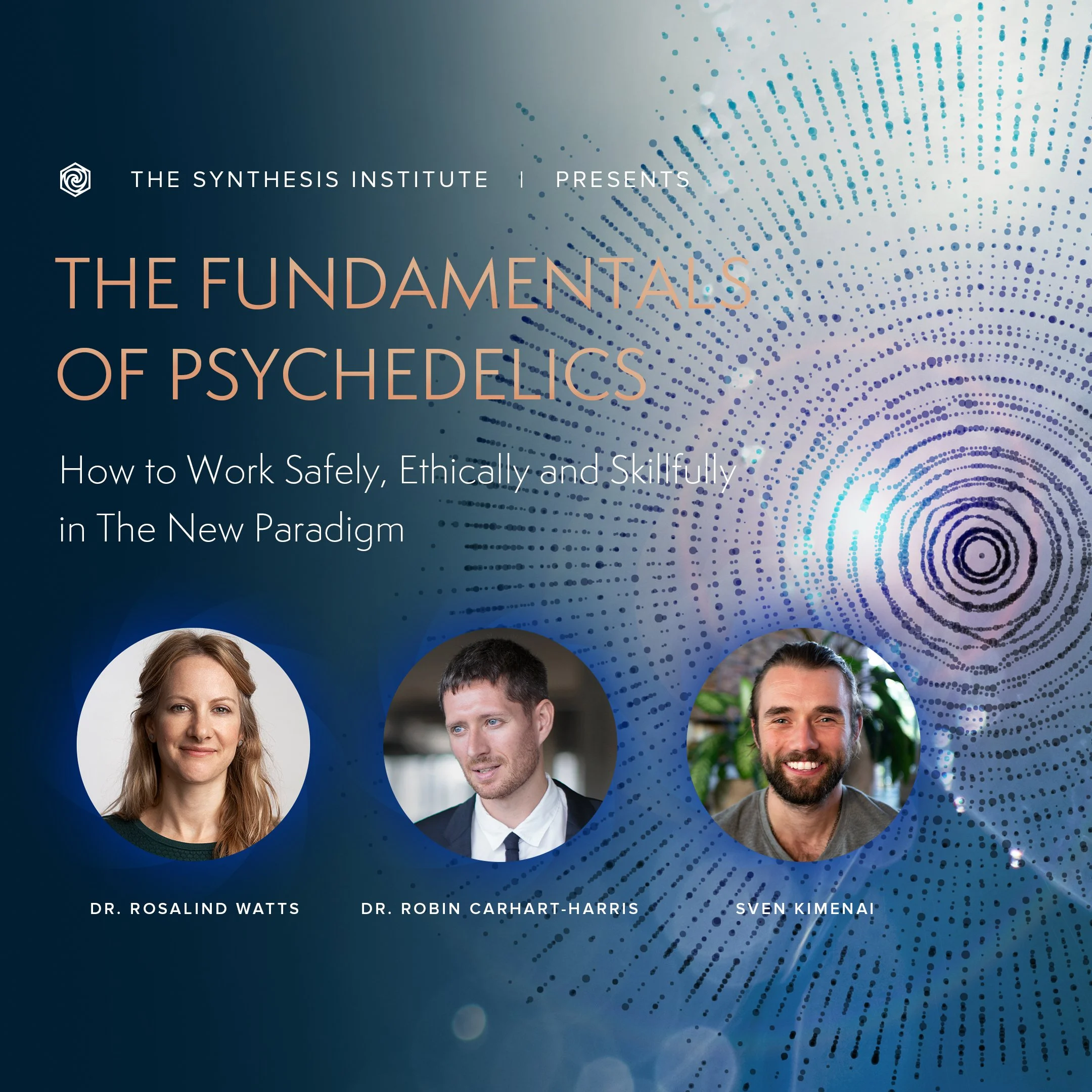 The Synthesis Project