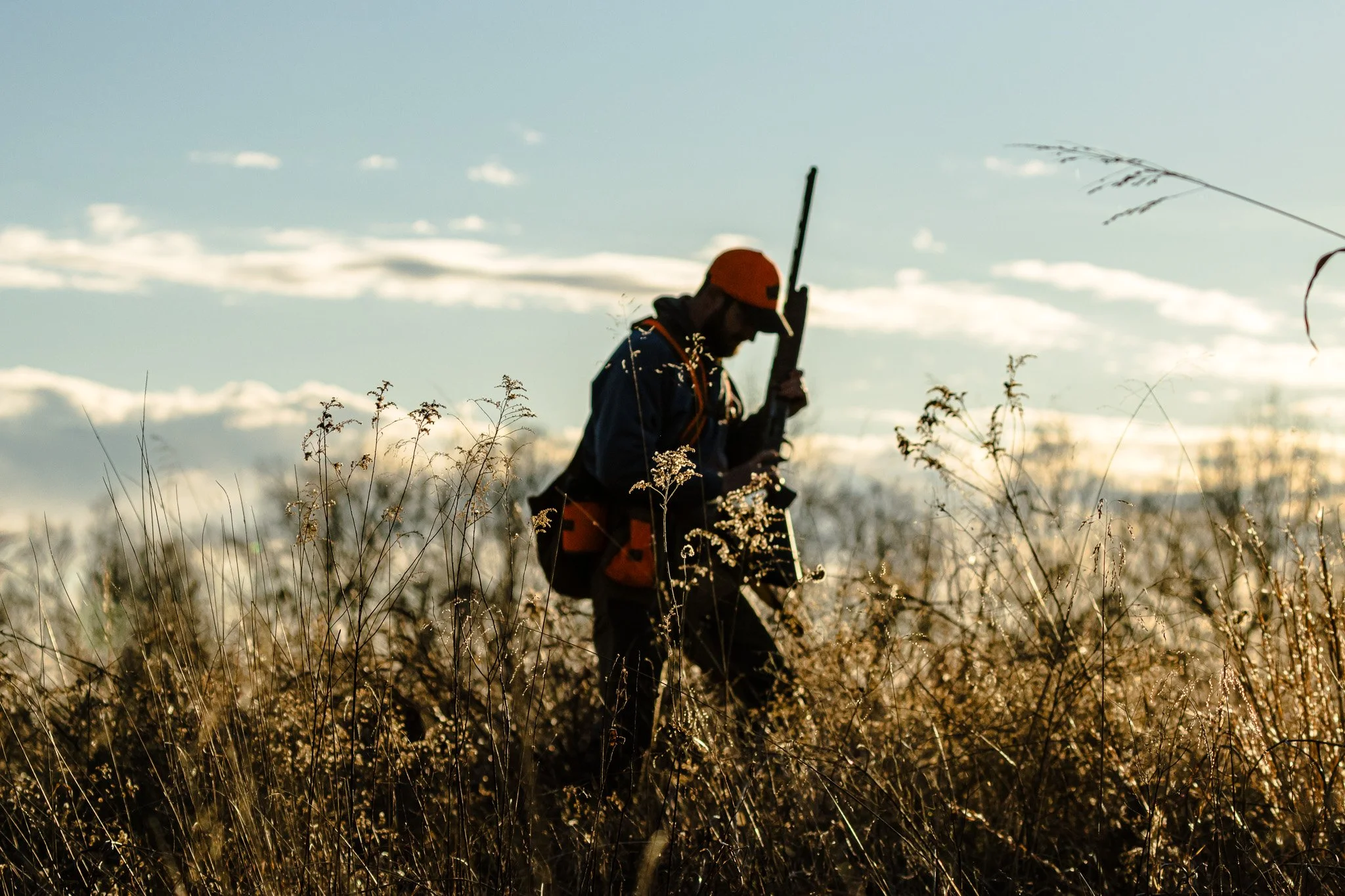 A person wearing an orange hat and jacket walks through tall, dry grass outdoors during sunset or sunrise.