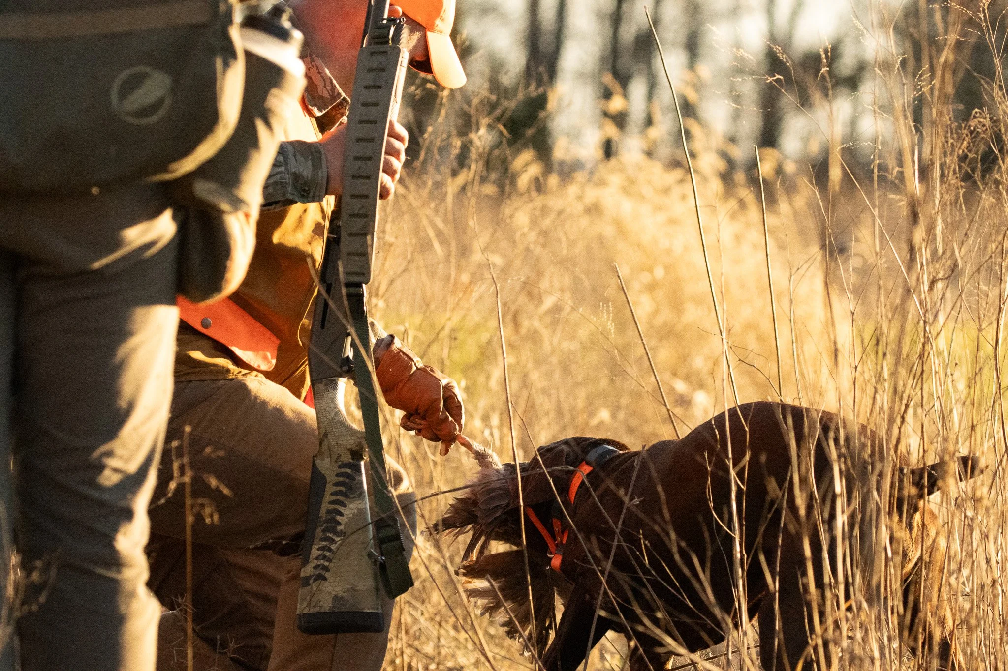 Two individuals in outdoor gear, one wearing gloves and a long-sleeved camouflage shirt and the other with orange accents on their clothing, working in a field of tall dry grass or weeds during sunset. One person appears to be handling equipment or a