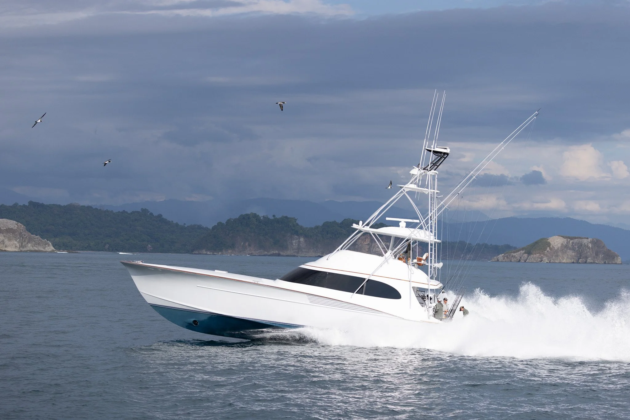 A white yacht speeding across the water with a mountainous landscape in the background, seagulls flying above, and a cloudy sky.