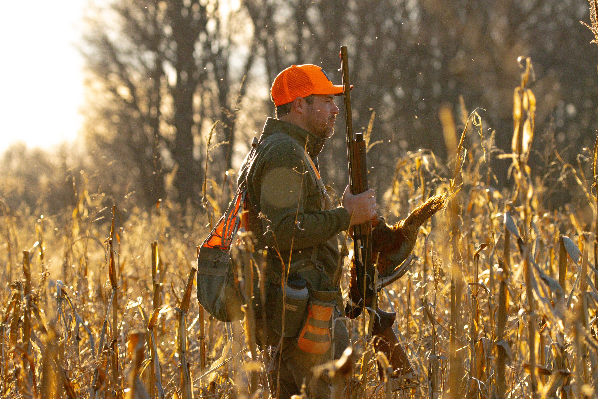 A man wearing an orange cap and khaki jacket stands in a field of dried corn stalks holding a rifle in his right hand. The sun is setting or rising behind him, creating a backlit scene.