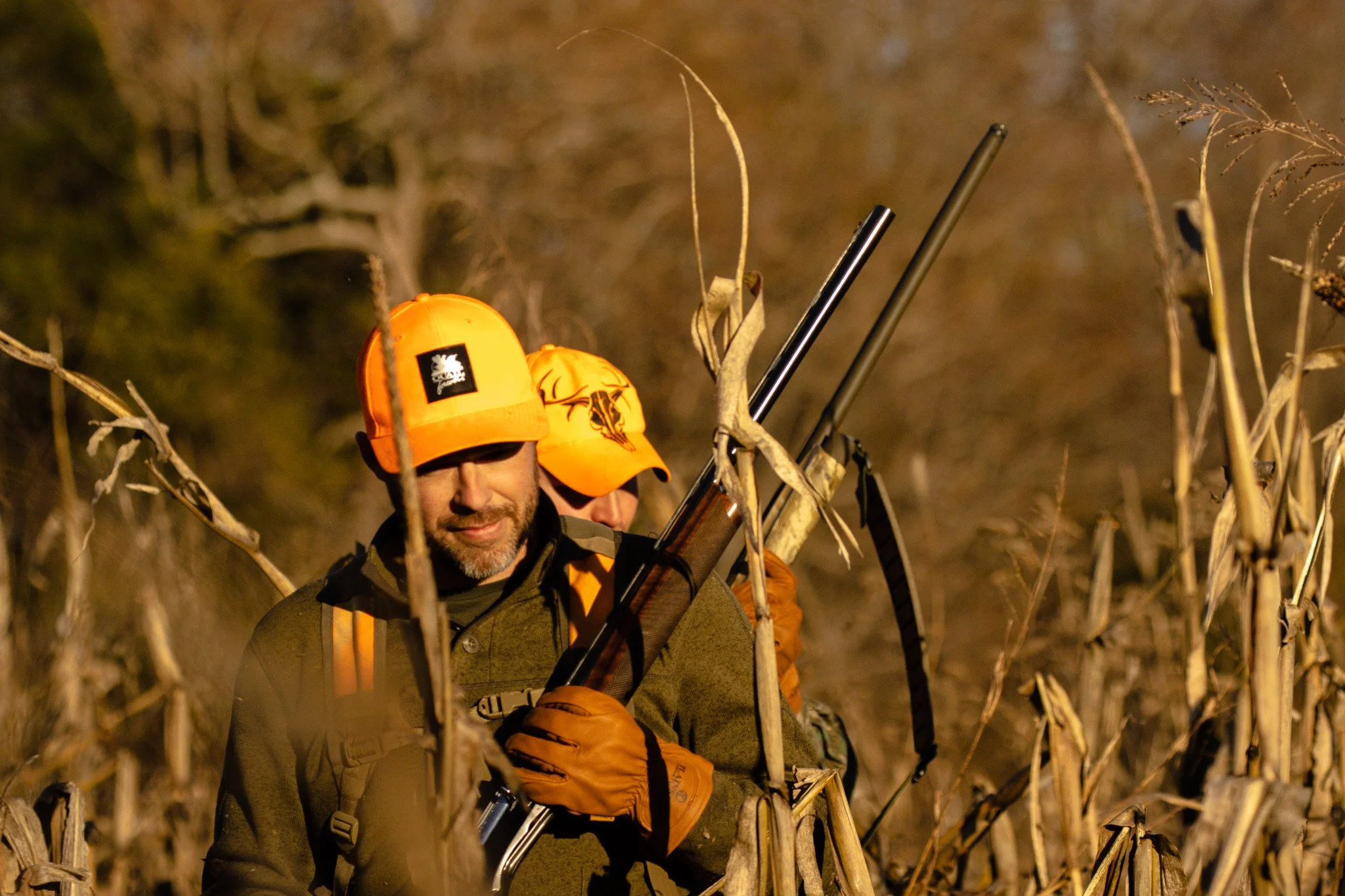 Two men hunting at night in a cornfield, one wearing an orange cap and holding a shotgun.
