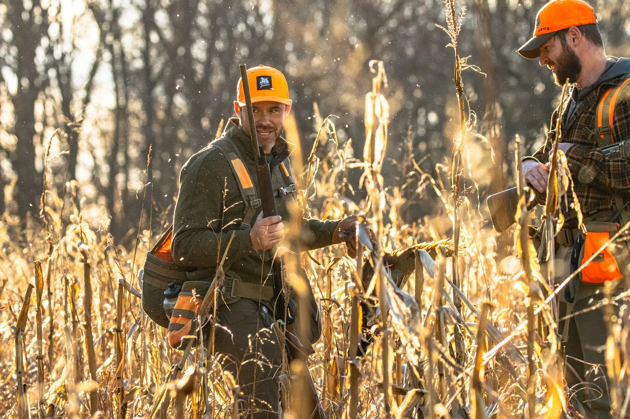 Two men in orange safety helmets and dark outdoor work clothing are examining a field of dried corn plants, with the sun setting in the background casting a golden glow.