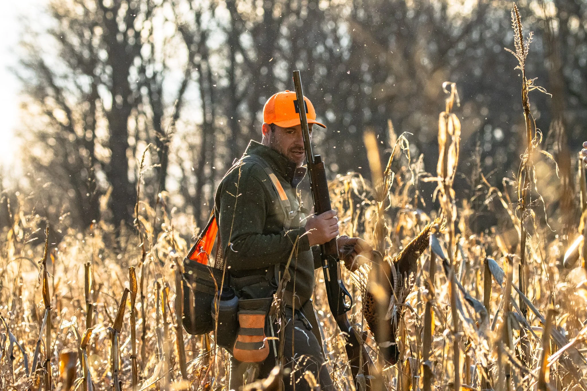 A man wearing an orange cap and hunting gear, holding a rifle, stands in a field of dried, tall plants, possibly corn stalks, with a blurred forest background and sunlight filtering through the trees.