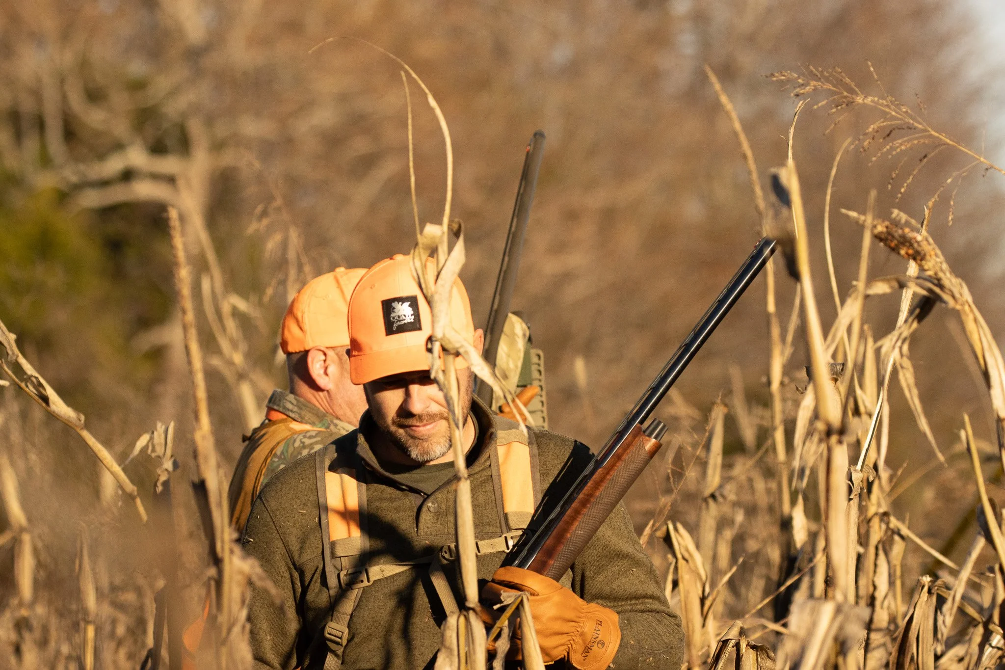 A person in camouflage clothing and orange gear hunting in a cornfield during daytime, holding a rifle.