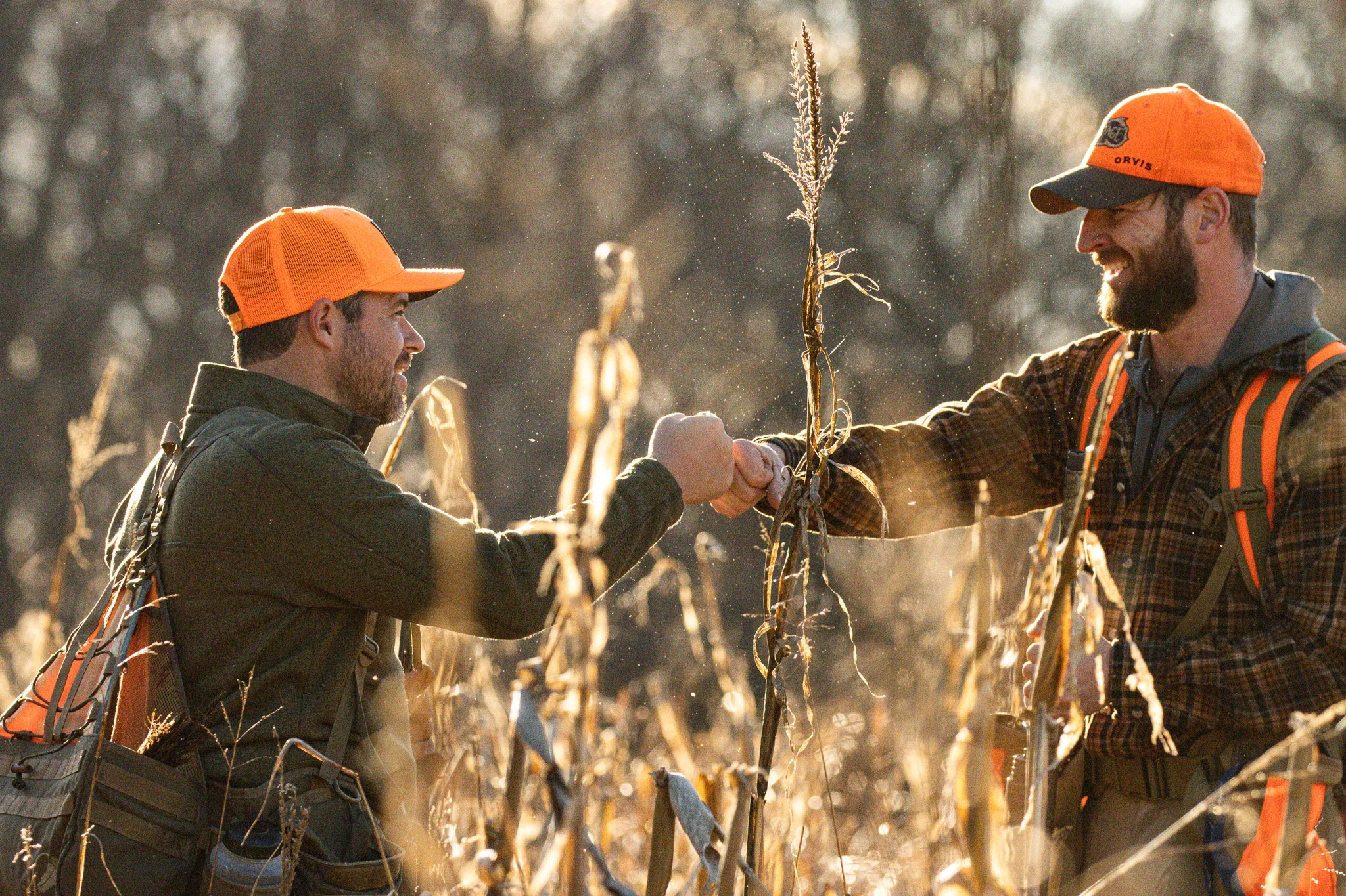Two men with beards wearing orange hats and outdoor gear shake hands in a field of dried plants, with sunlight filtering through trees in the background.
