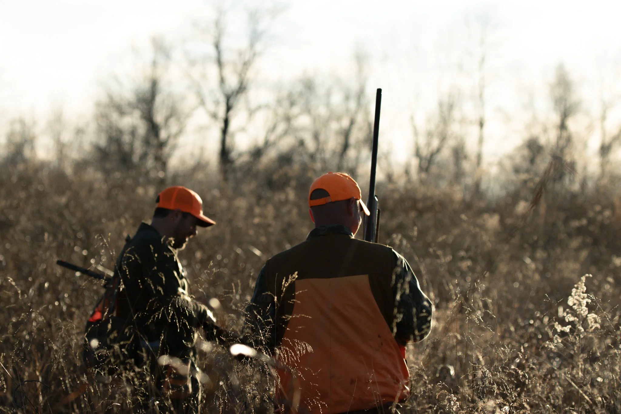Three hunters wearing orange hats and jackets standing in a field with tall dry grass, holding rifles, with leafless trees in the background during late afternoon or early evening.