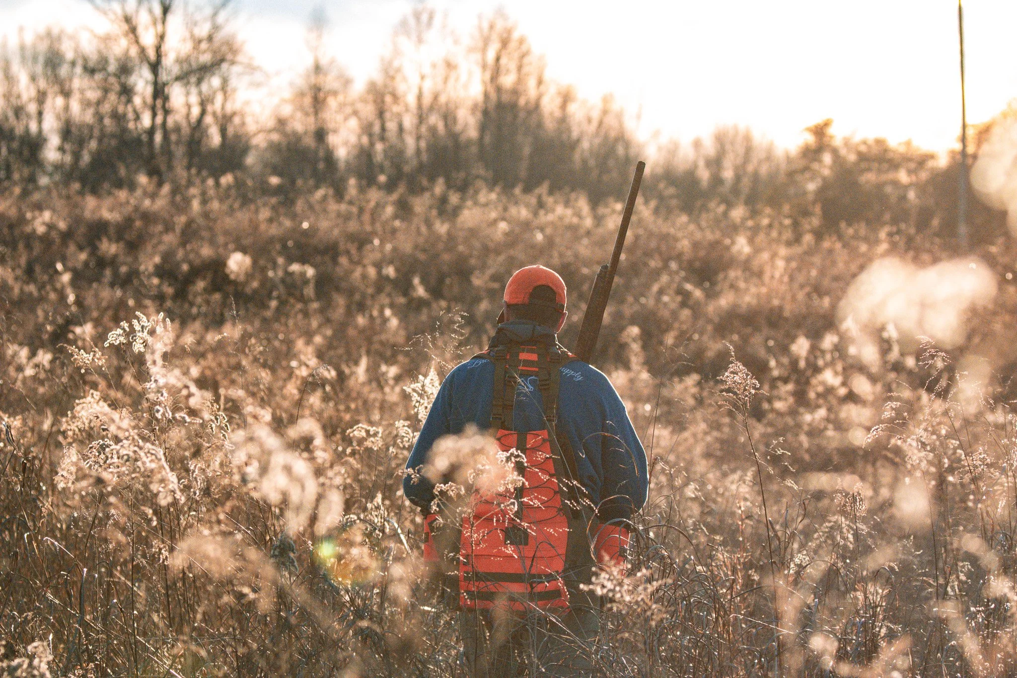 Person in a blue jacket holding a rifle walking through tall, dried grass during sunset or sunrise.