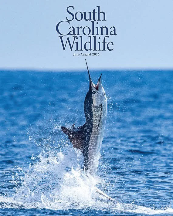 Cover of South Carolina Wildlife magazine, July-August 2025, showing a large fish leaping out of the water with a fishing hook in its mouth.