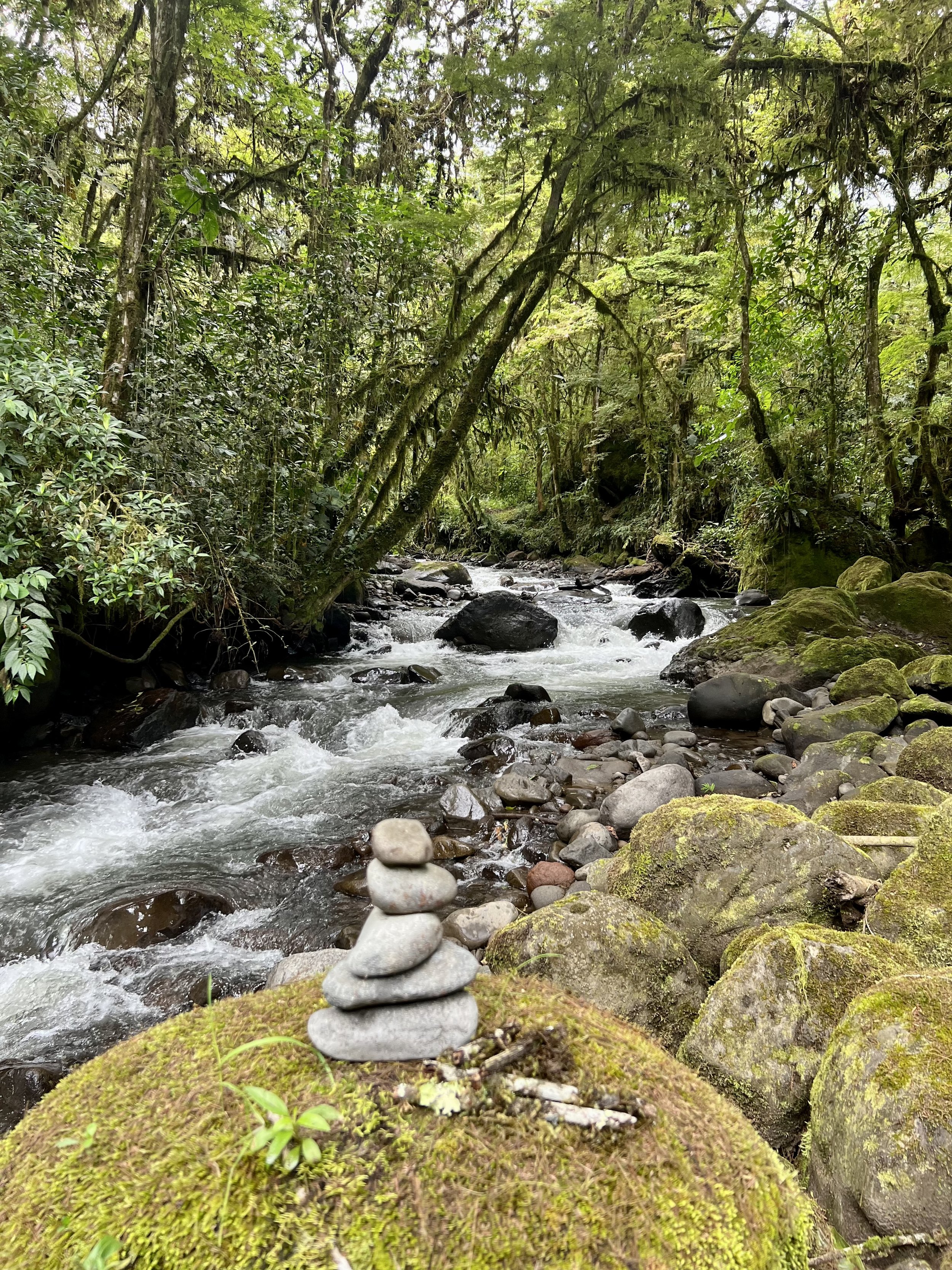 A small stack of smooth stones balanced on top of each other in the foreground of a rushing stream in a dense green forest with moss-covered rocks and trees.