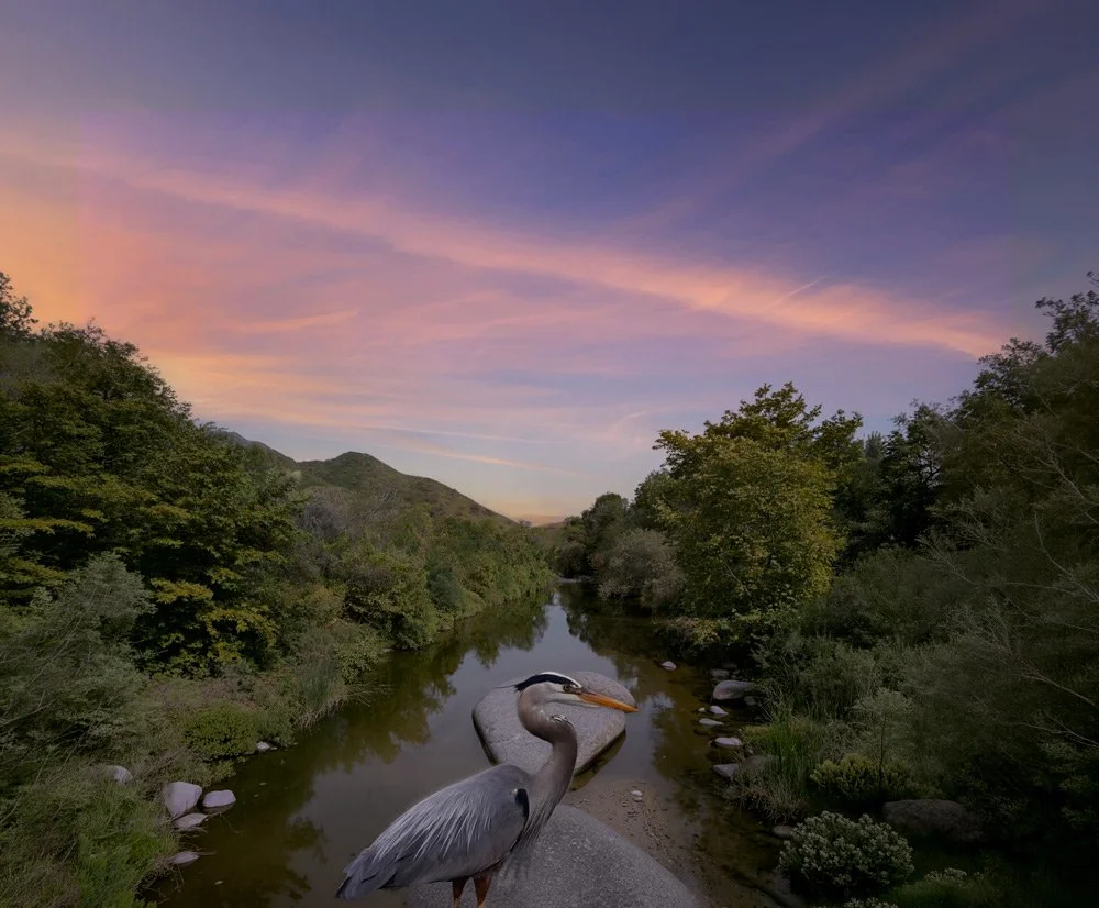 Santa Margarita River Wildway, California
