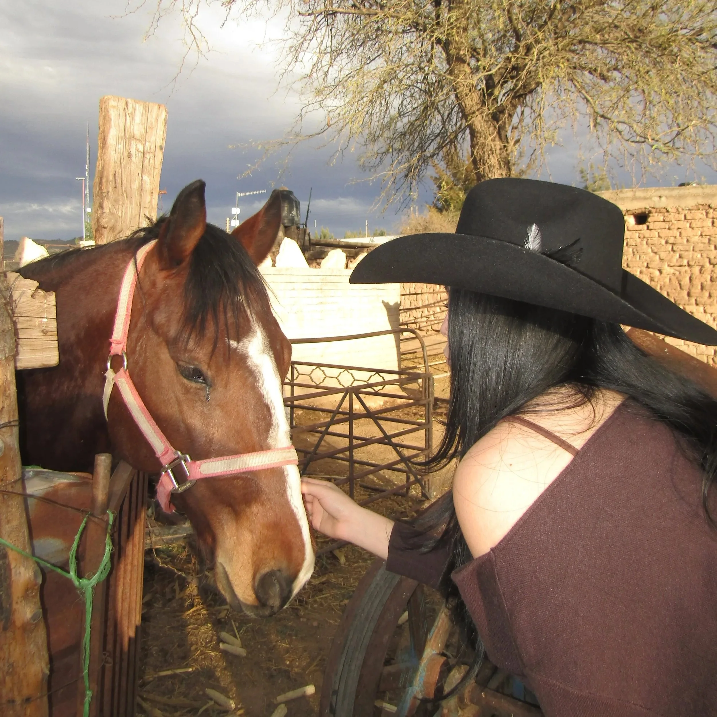 A woman with long black hair, wearing a large black cowboy hat and an off-the-shoulder brown top, reaching out to pet a brown horse with a white stripe on its face, behind a wooden fence on a farm.