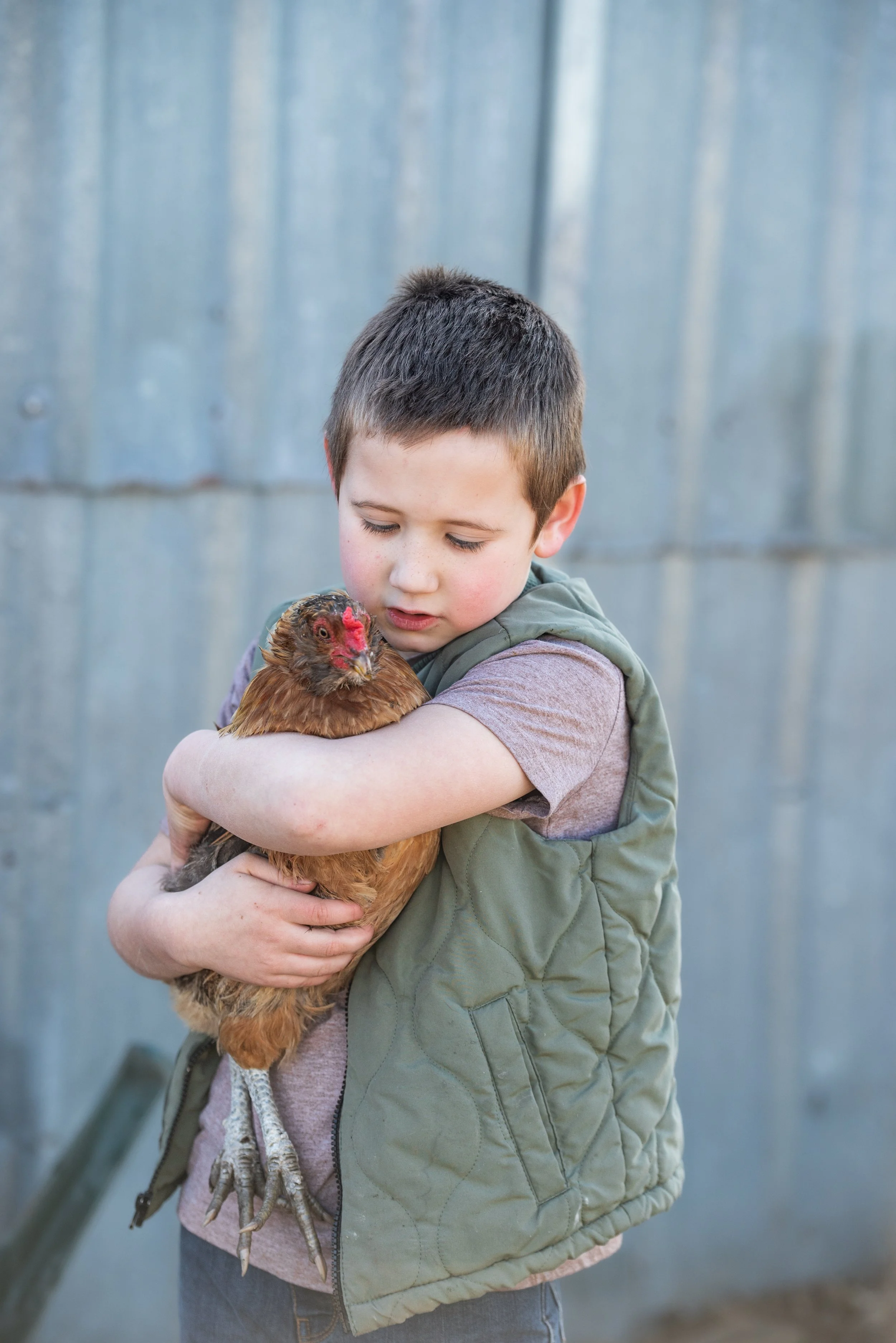 Chicken Eggs-1 Dozen