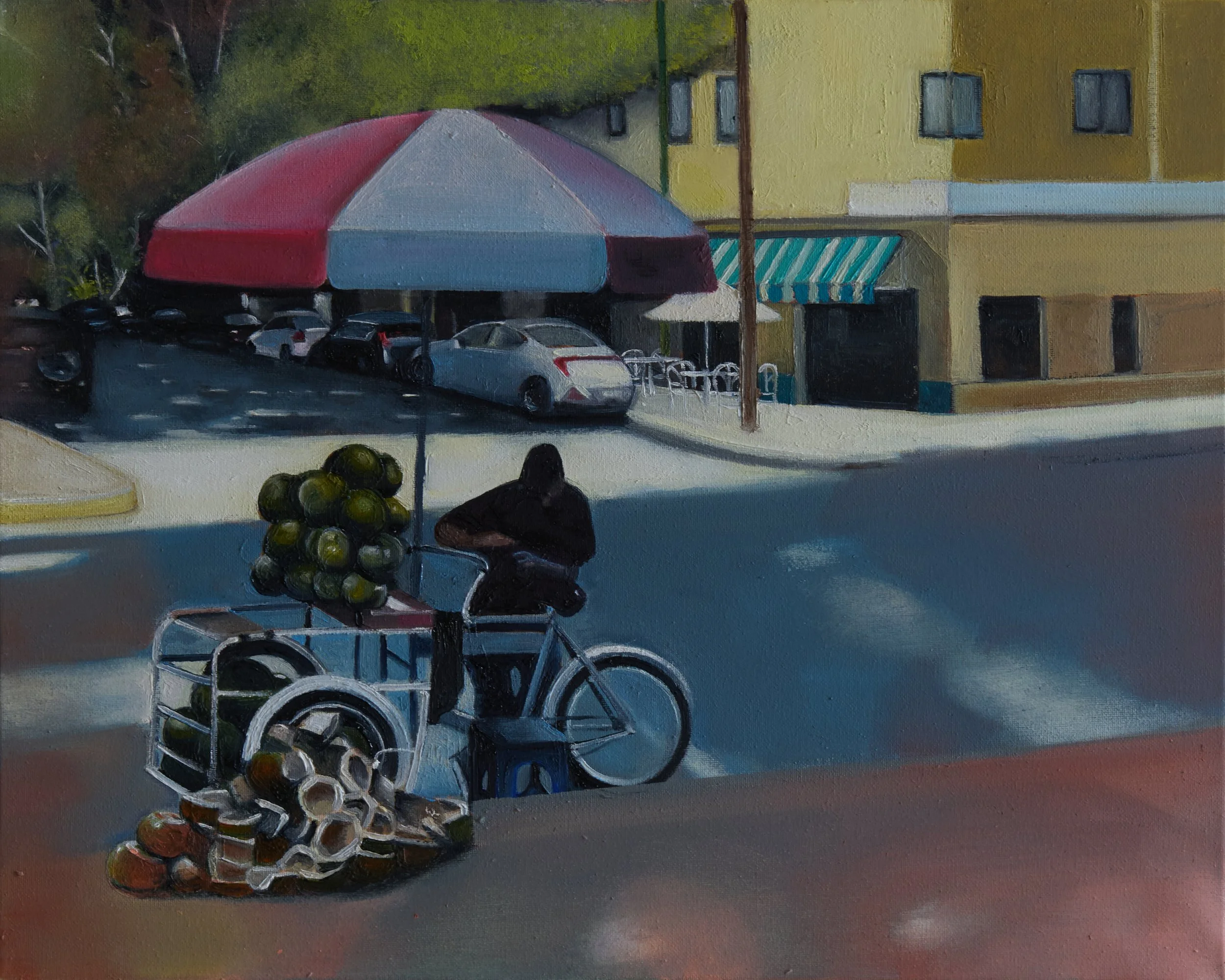 Cocos - 2026, 16 x 20 Oil on canvas