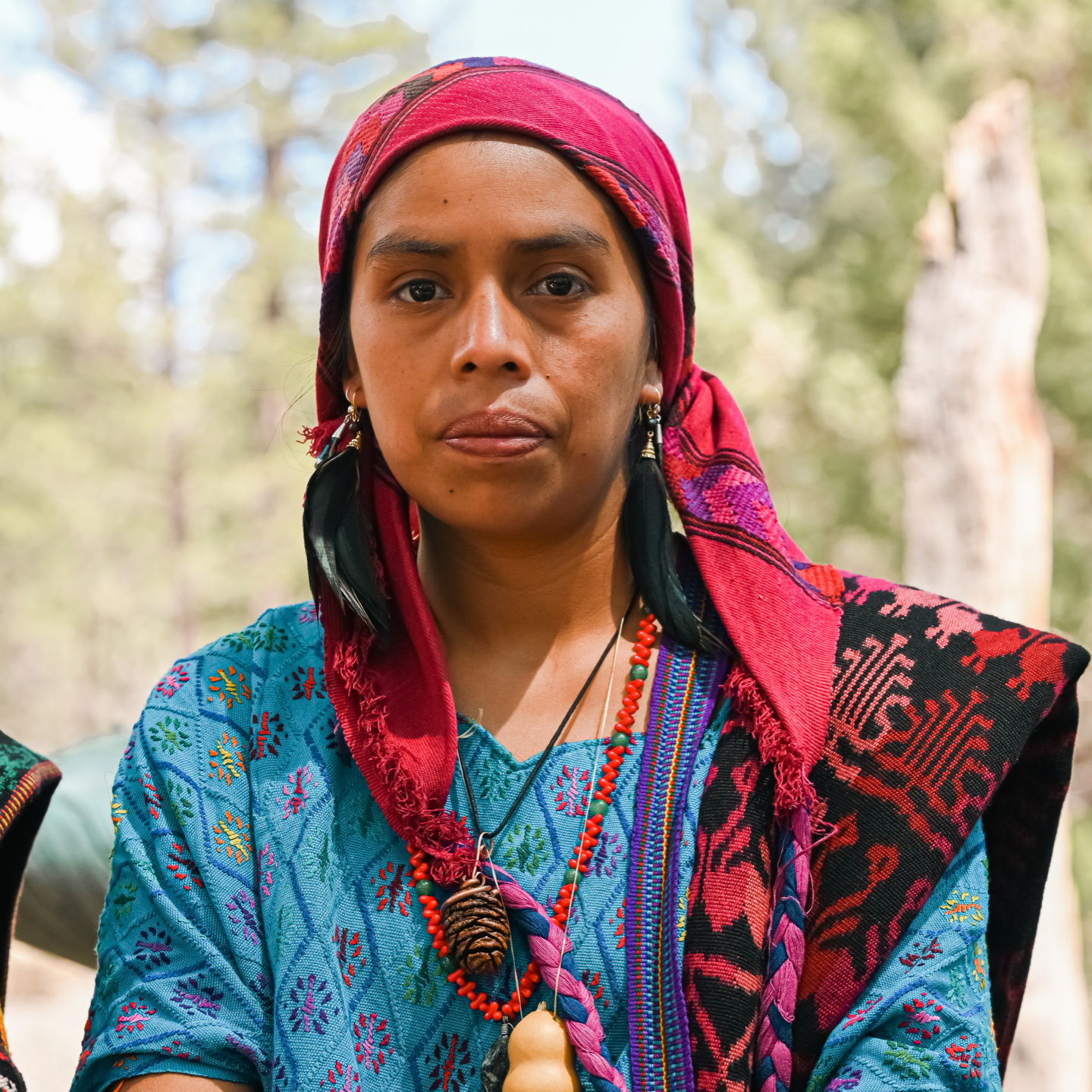 A person wearing traditional embroidered clothing and necklaces, standing outdoors with a nature background.