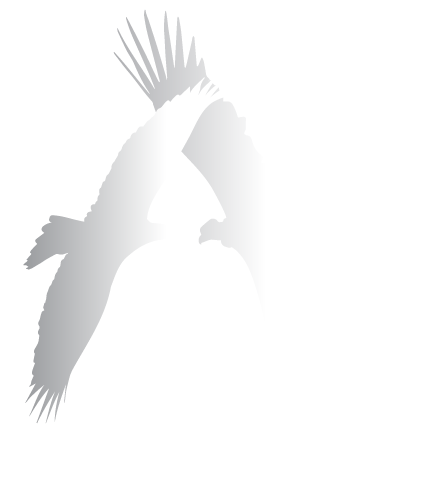 Aniwa
