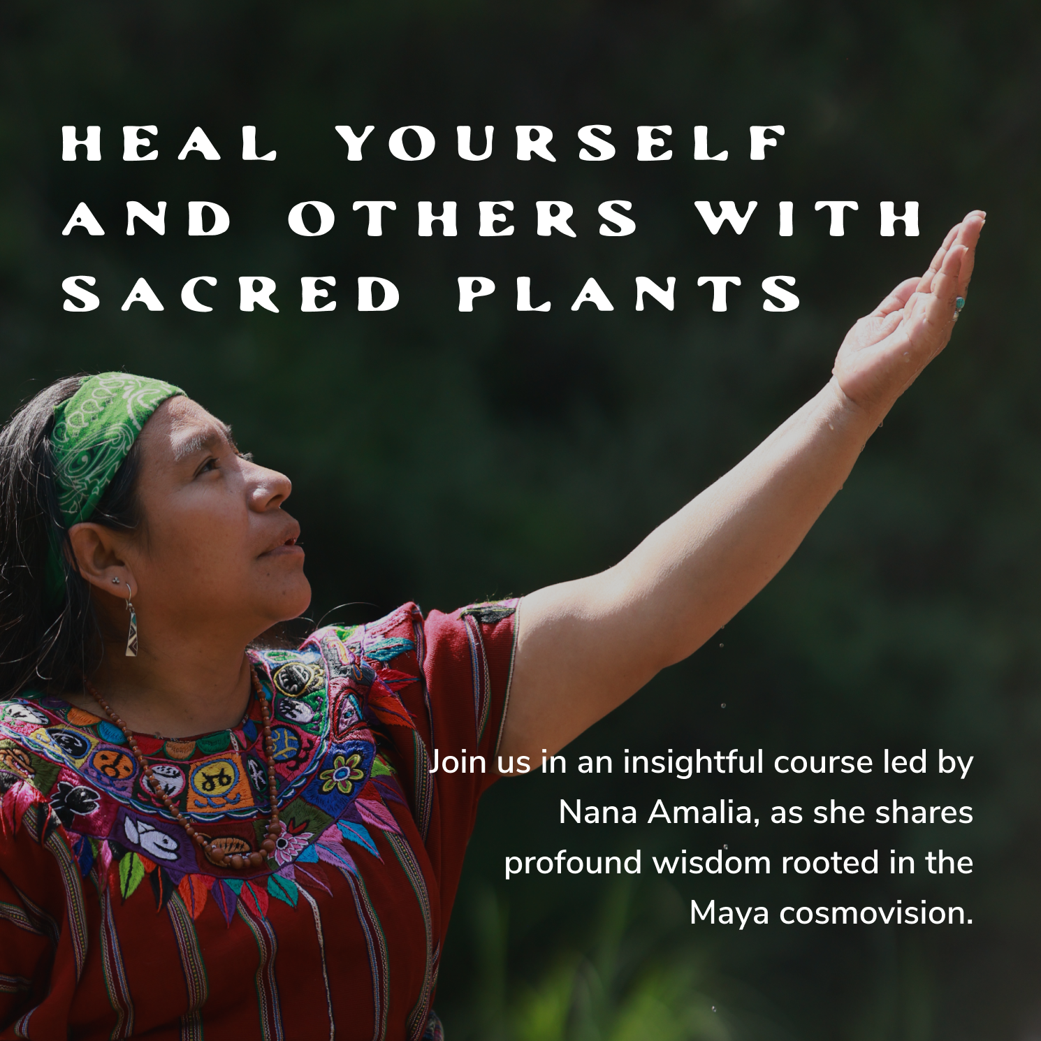 Heal Yourself & Others with Sacred Plants with Nana Amalia