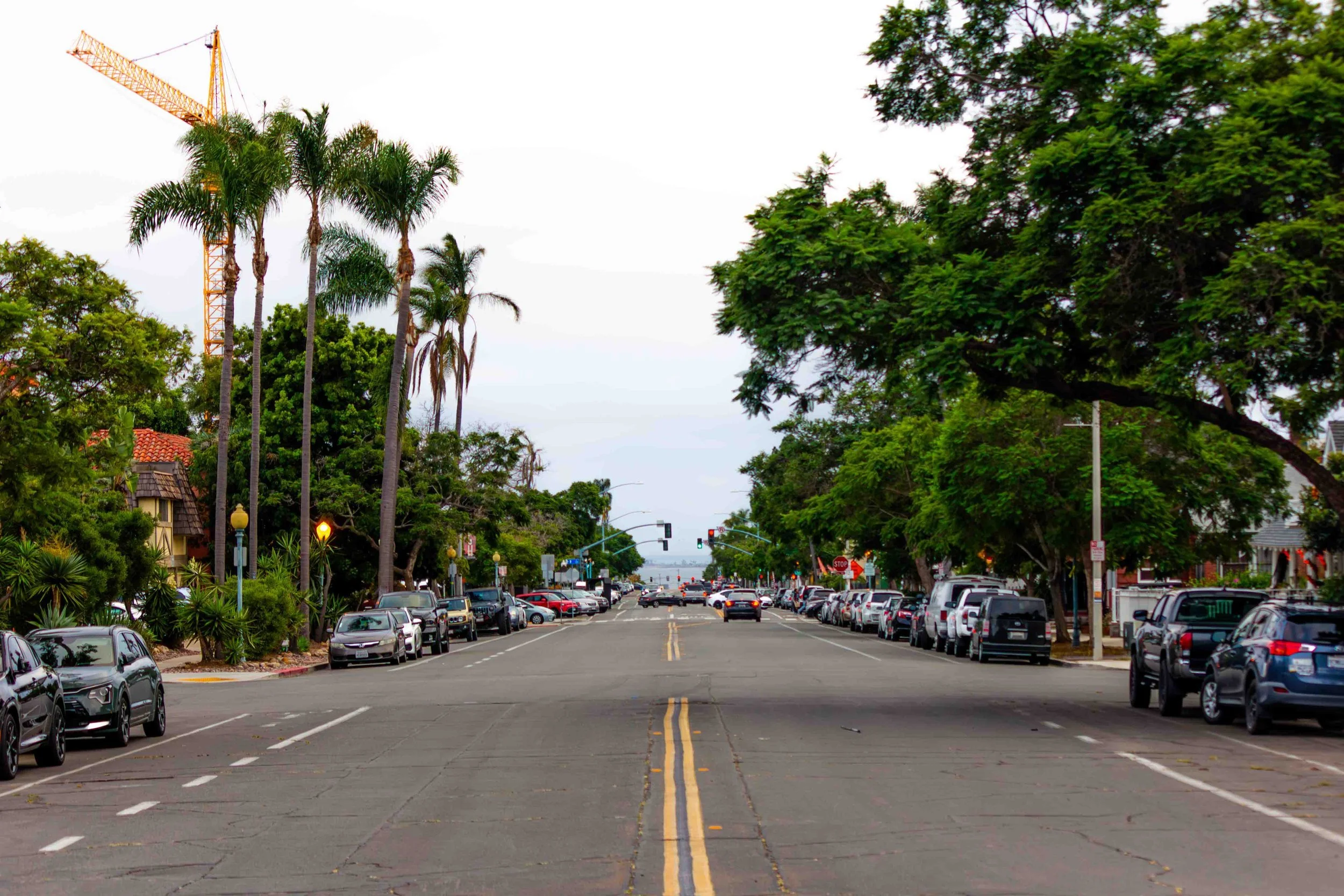 A city street with parked cars on both sides, lush green trees lining the sidewalks, and tall palm trees in the background. Traffic lights and stop signs are visible, with a crane in the distance under an overcast sky.