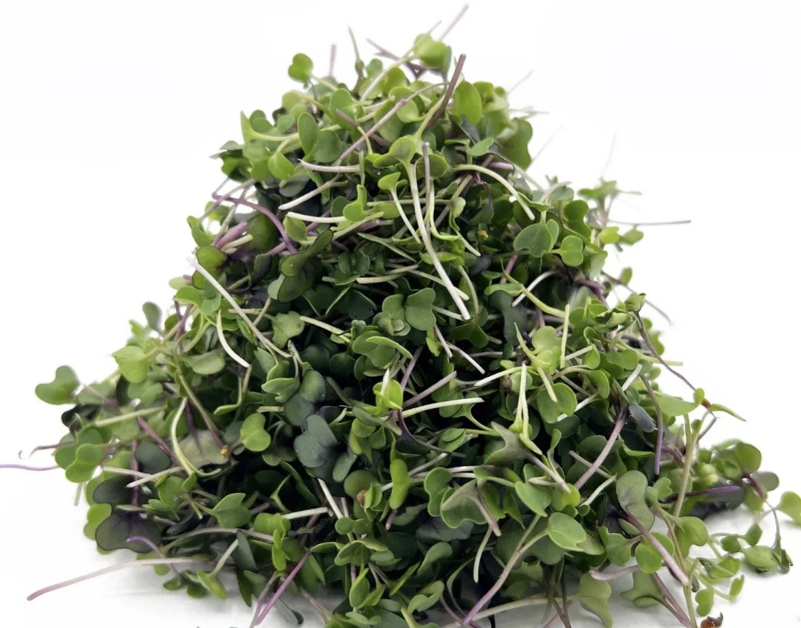 Salad Mix
