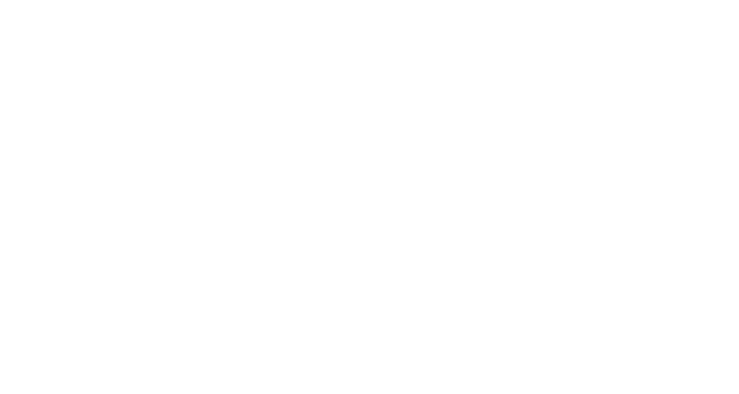 BorokoMotors.png