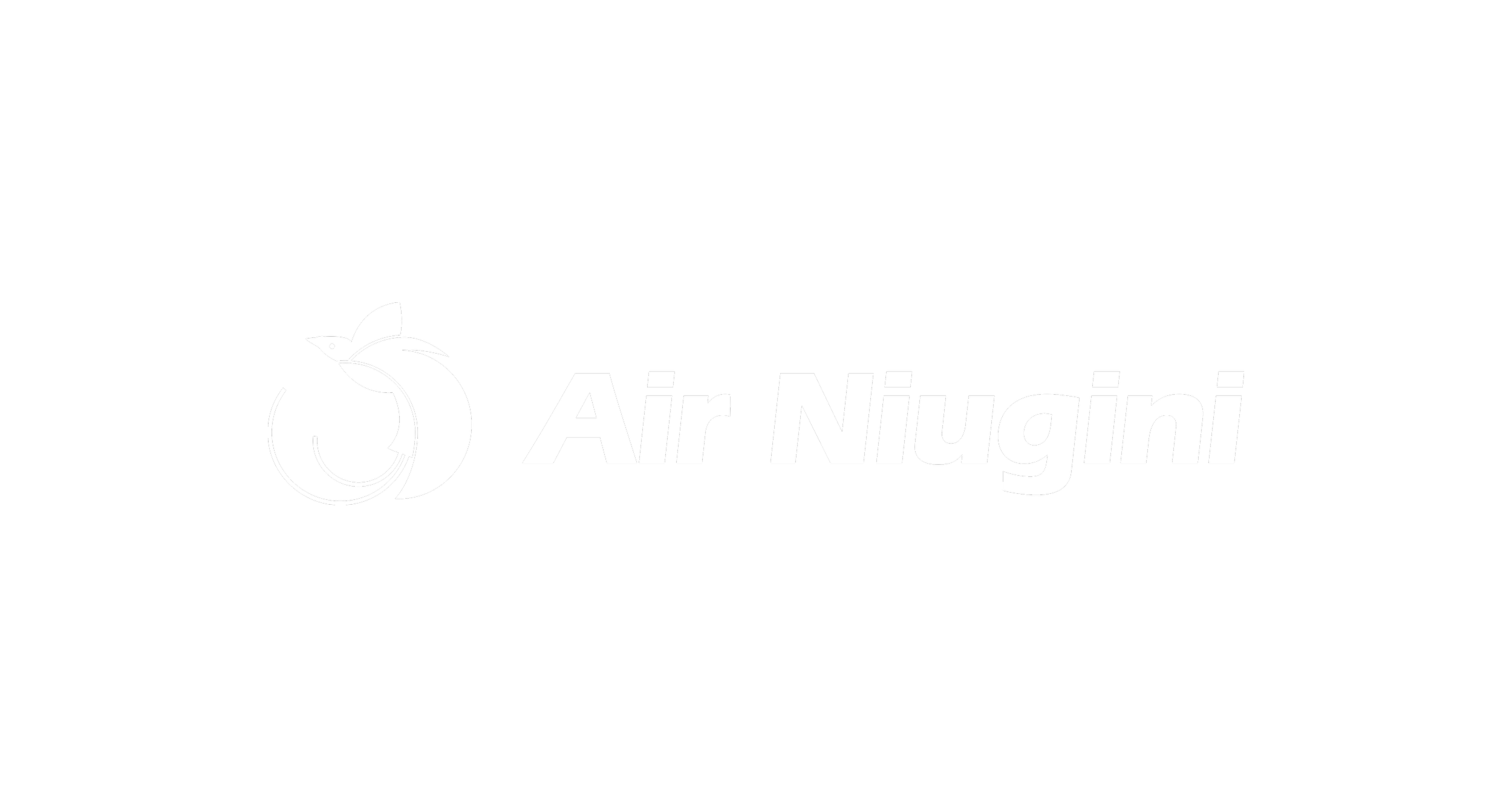 AirNiugini.png