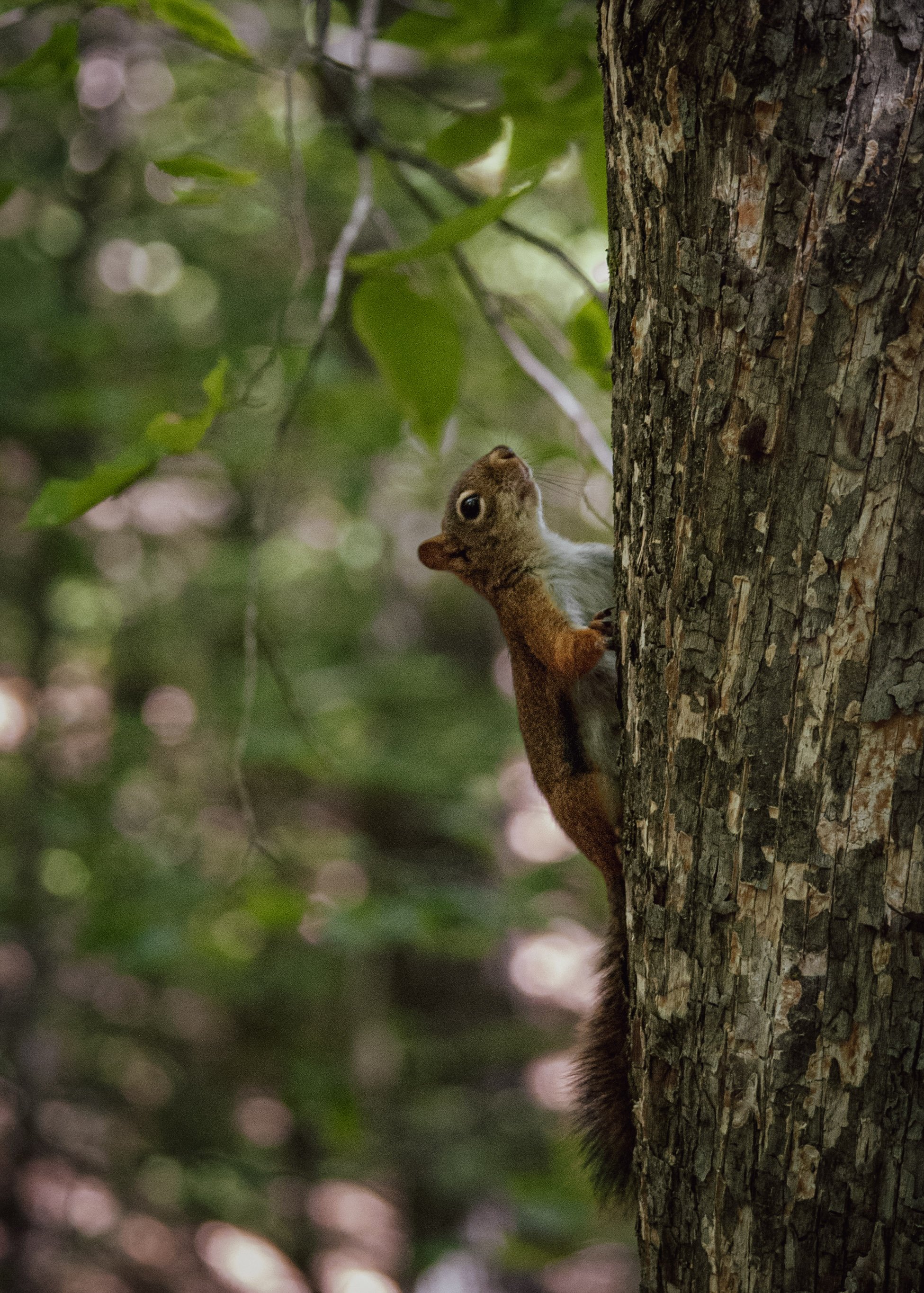 67-DSC_3766.jpg