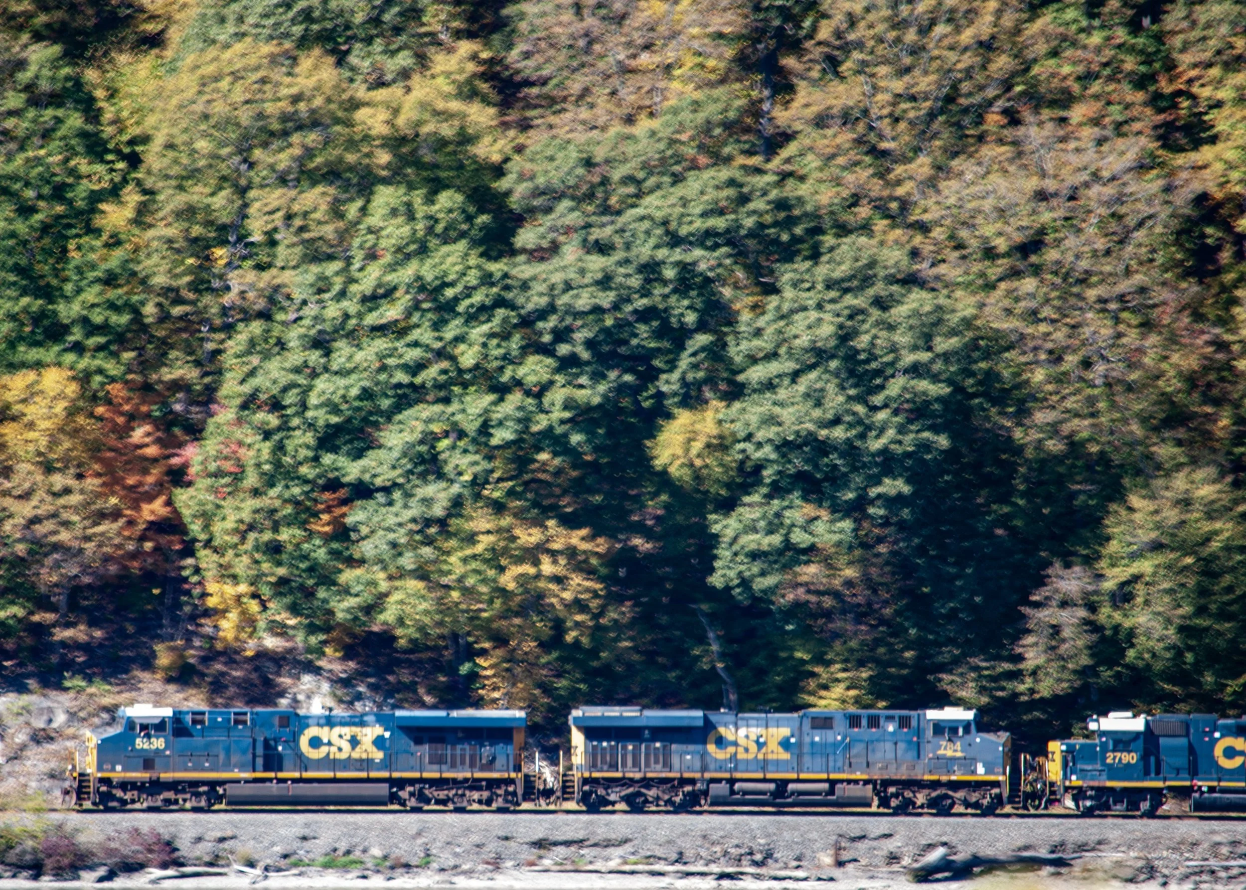 48-DSC_4369.jpg