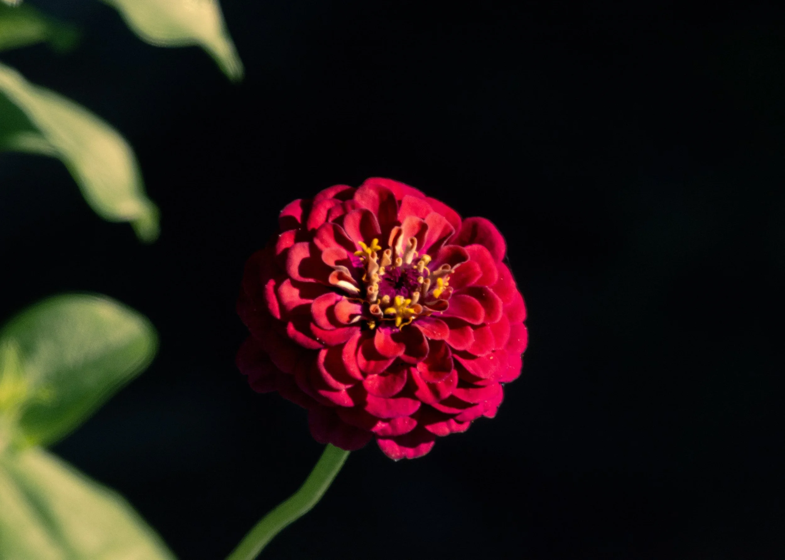 DSC_2092.jpg
