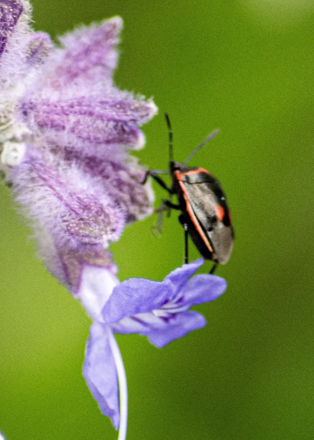 DSC_0280.jpg