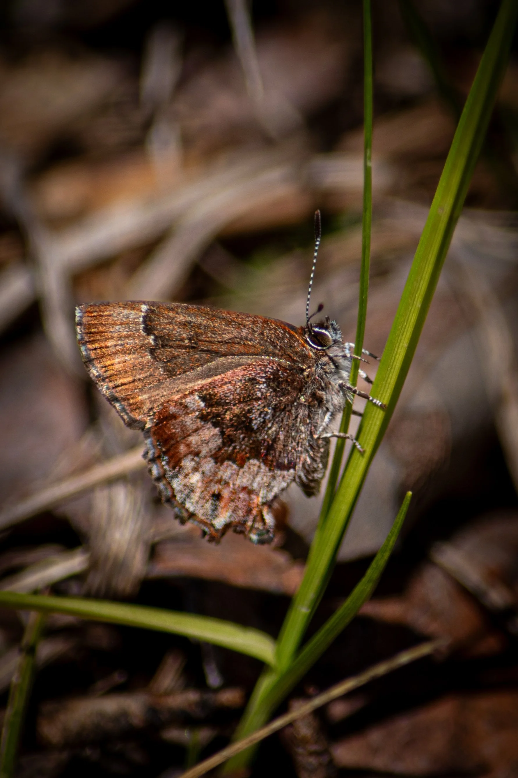 DSC_0281.jpg