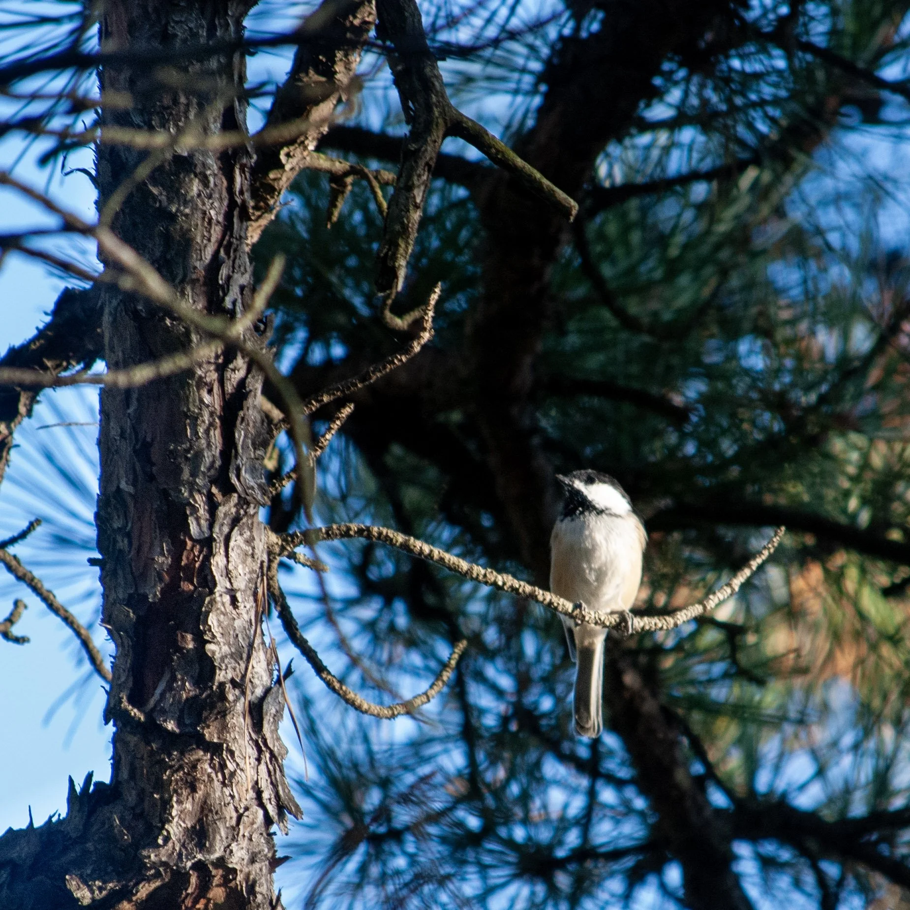 72-DSC_3654.jpg
