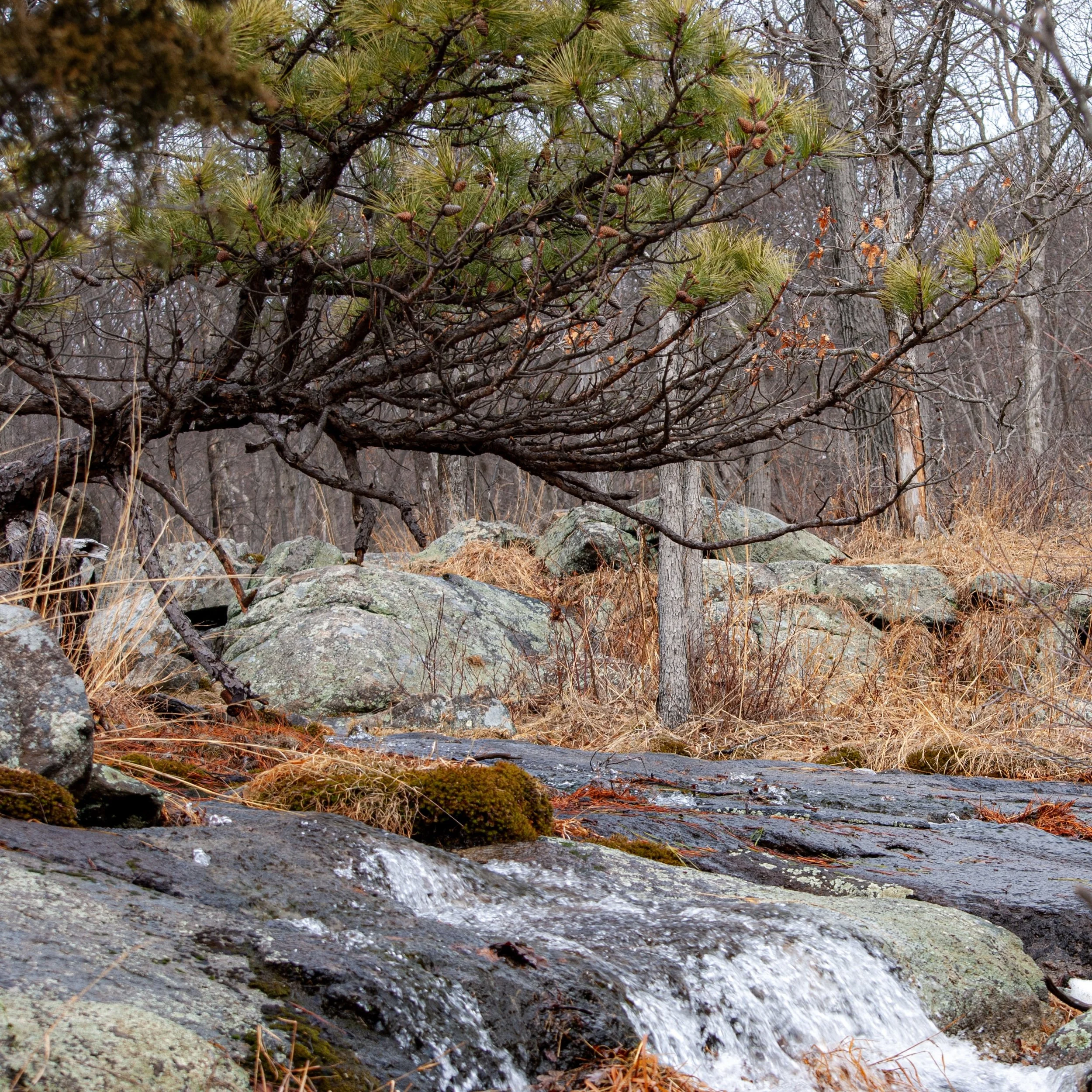 23-DSC_6601.jpg