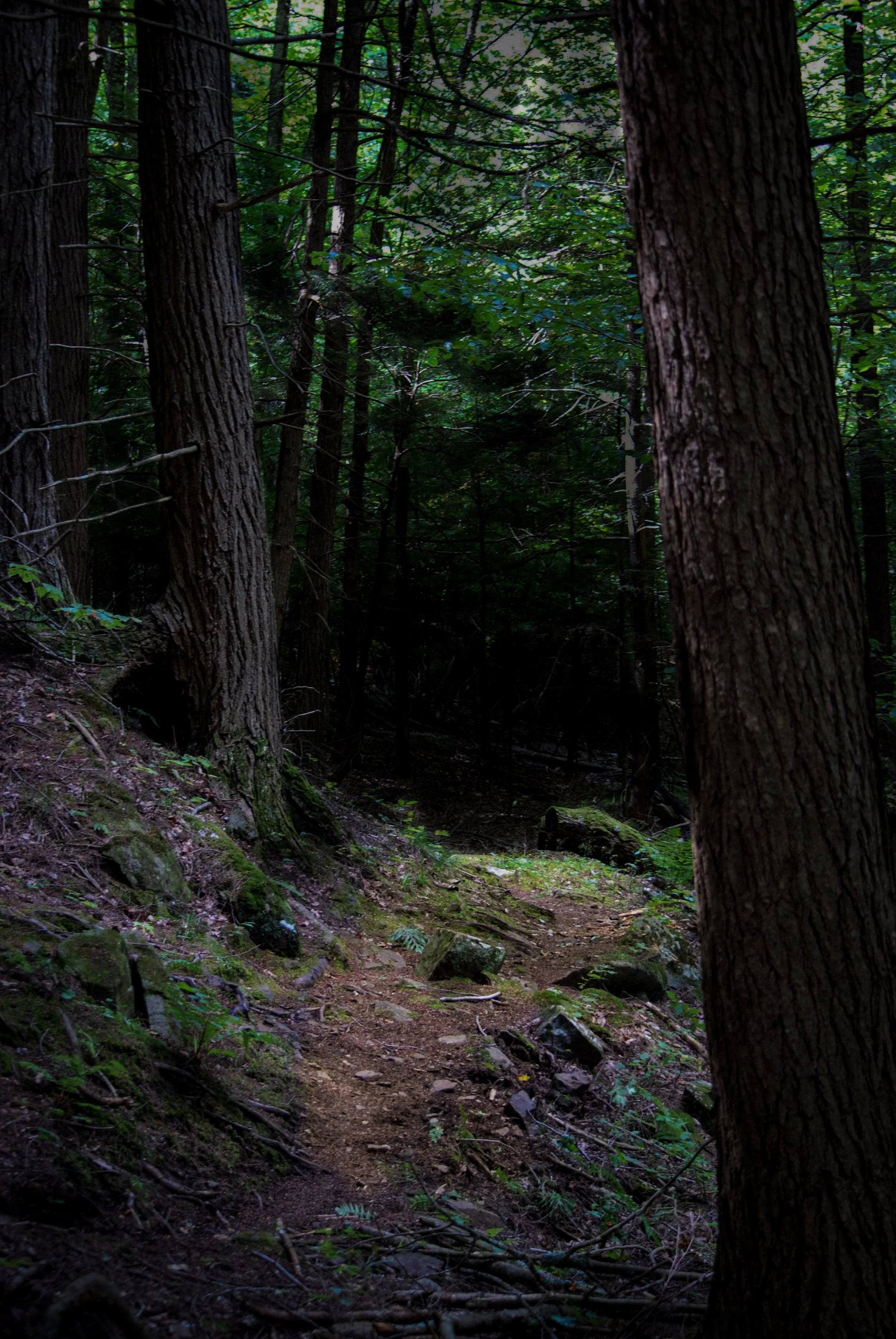 66-DSC_3779.jpg