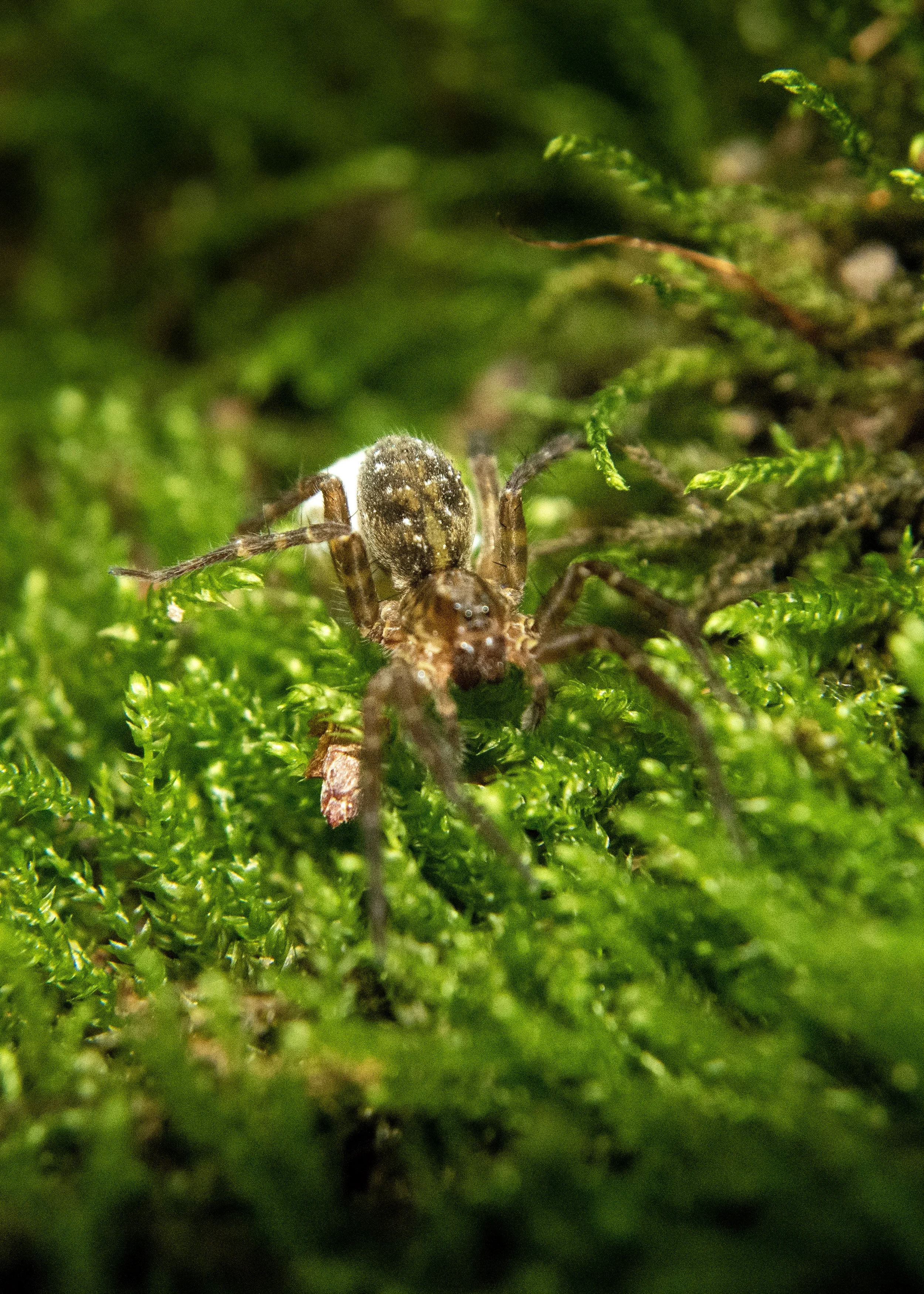 DSC_6483.jpg
