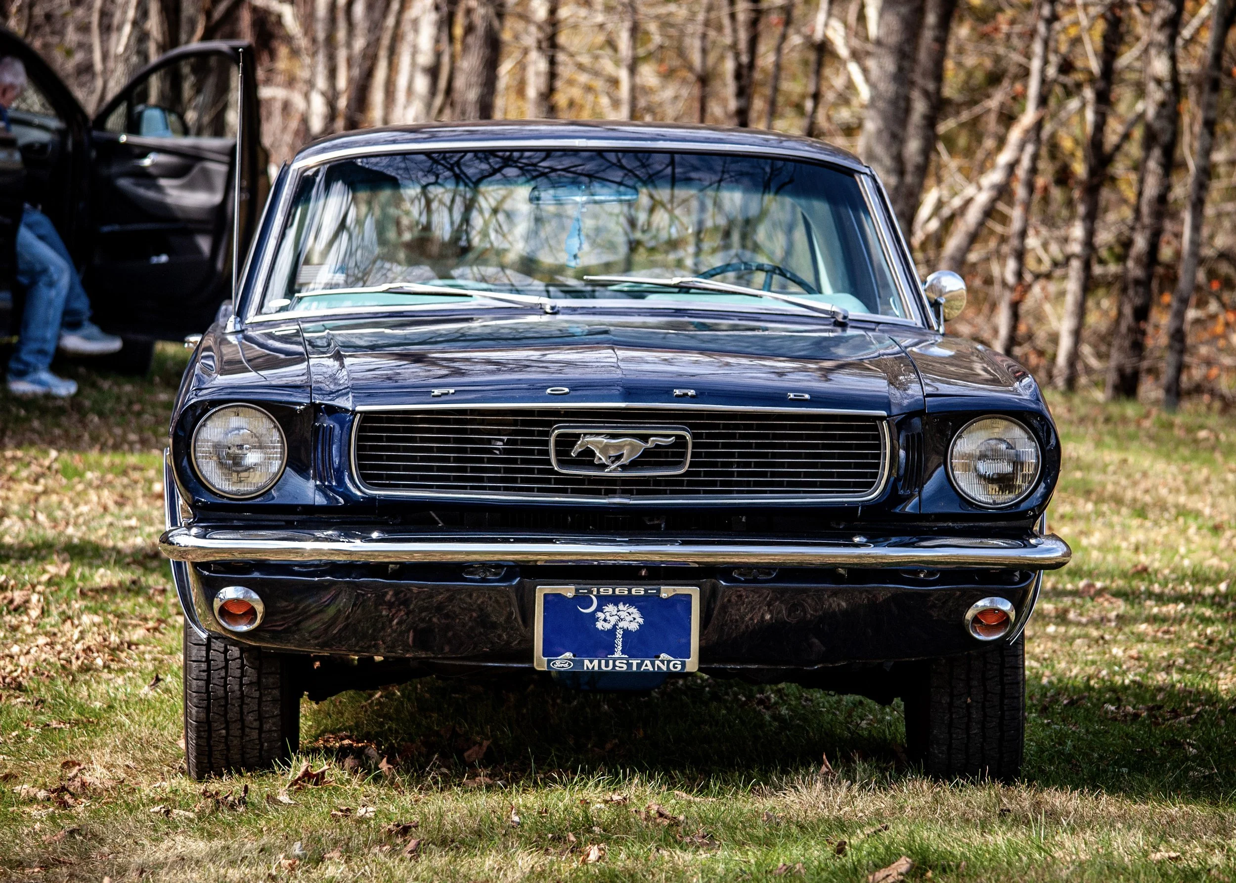 18-DSC_4642.jpg