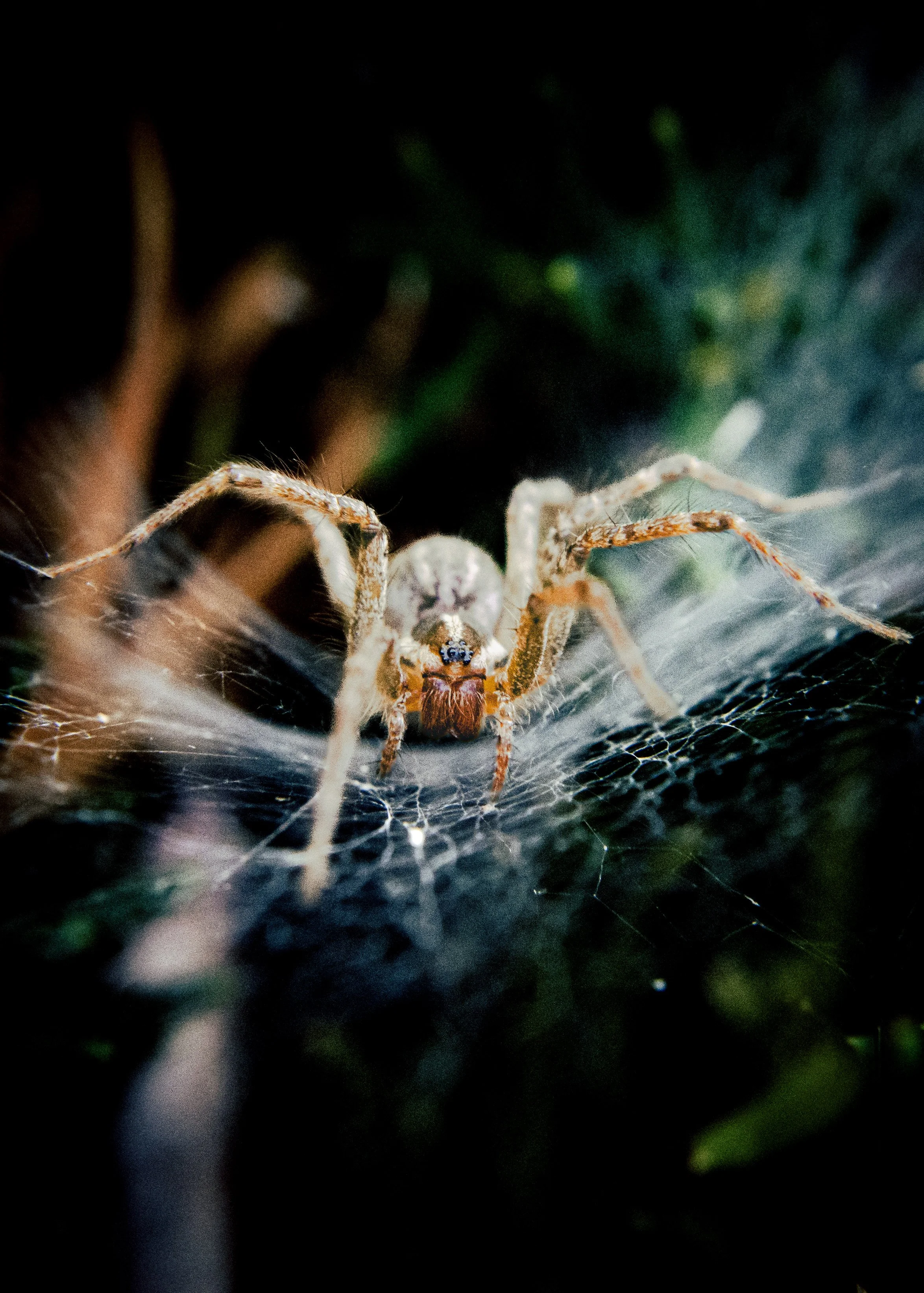DSC_2937.jpg