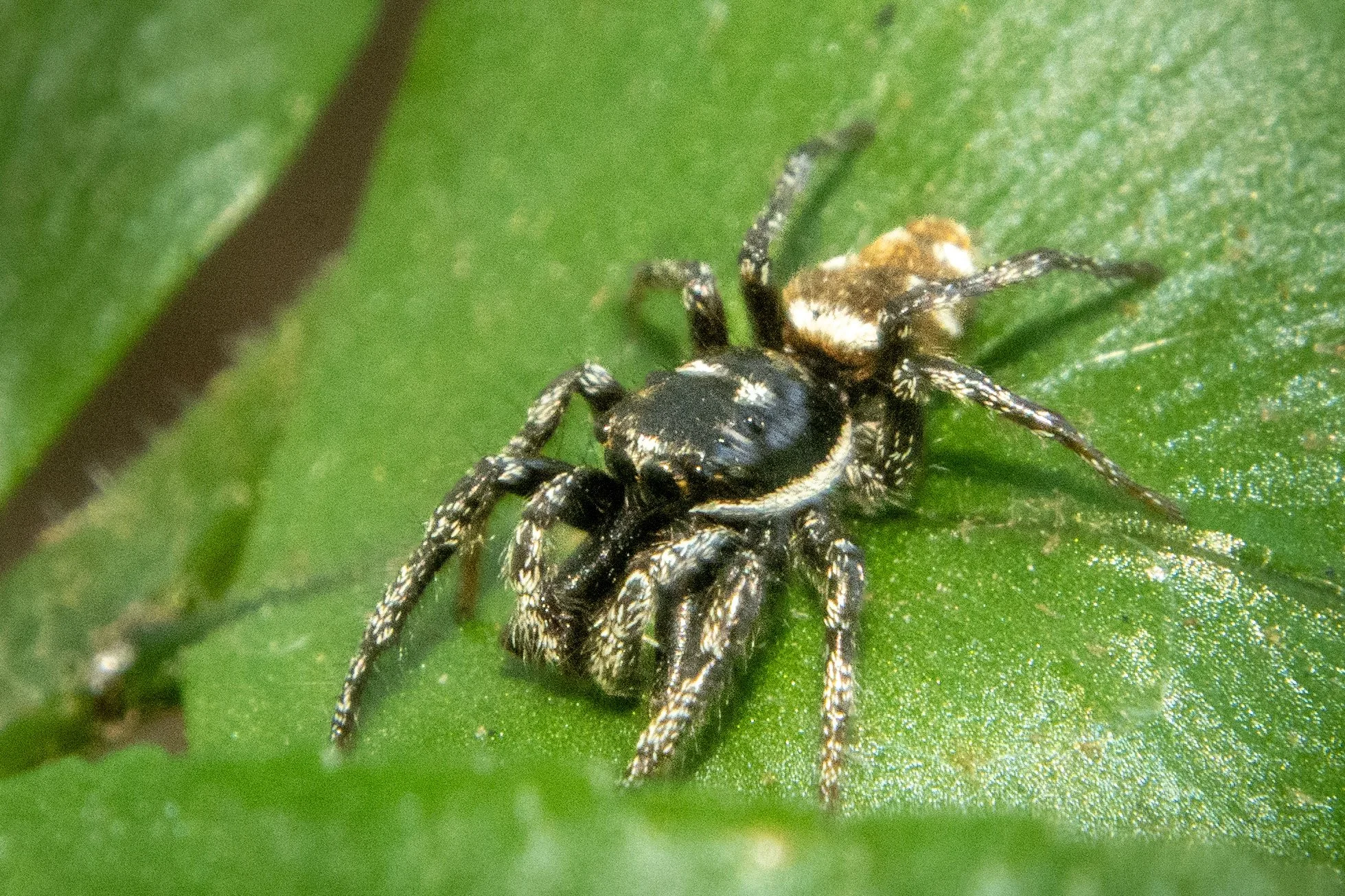 DSC_8583.jpg
