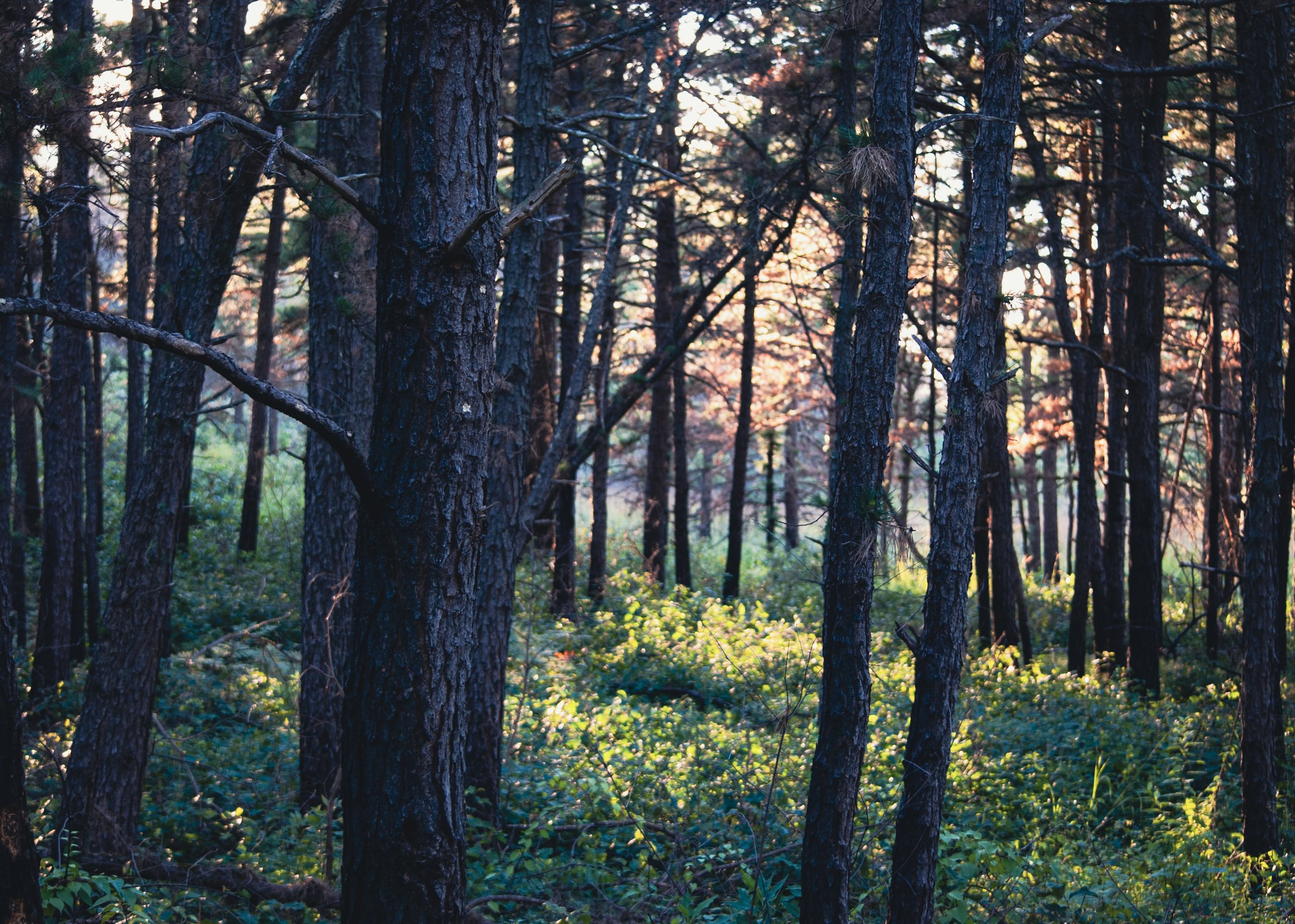 9-DSC_3659.jpg